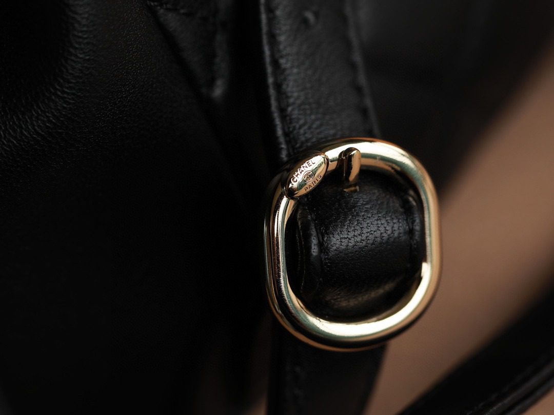 Chanel Lambskin Duma Backpack view 5