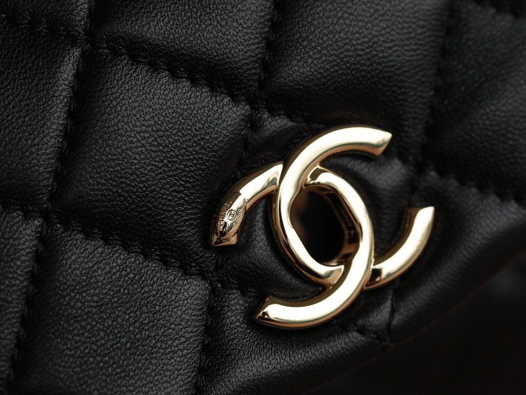 Chanel Lambskin Duma Backpack view 7