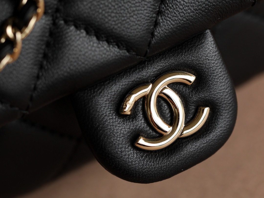 Chanel Lambskin Duma Backpack view 9