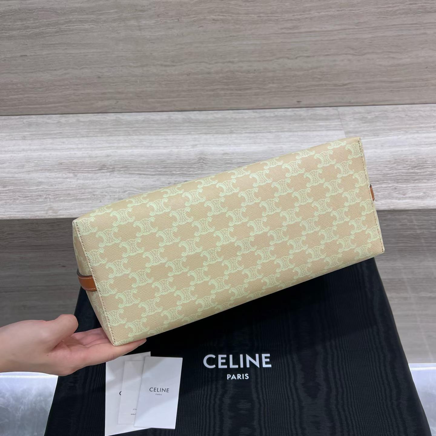 Celine Soft Shopper Bag In Triomphe Canvas And Calfskin view 3