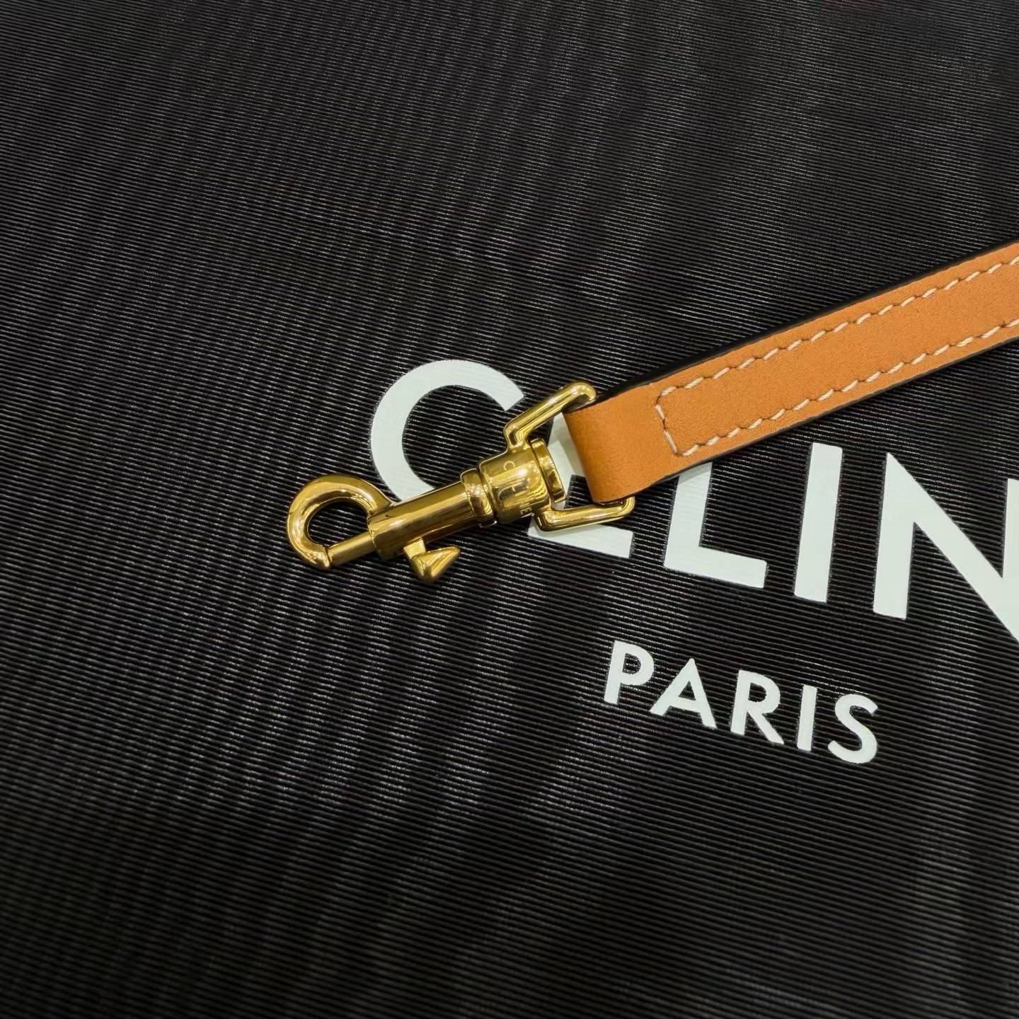 Celine Soft Shopper Bag In Triomphe Canvas And Calfskin view 8