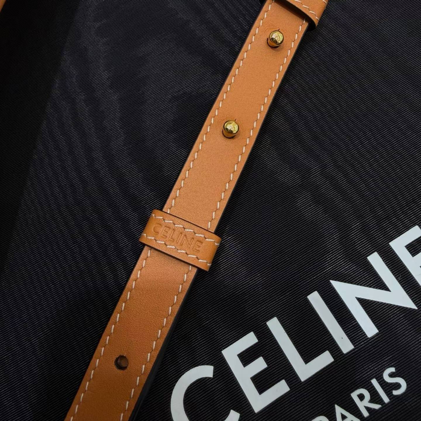 Celine Soft Shopper Bag In Triomphe Canvas And Calfskin view 9