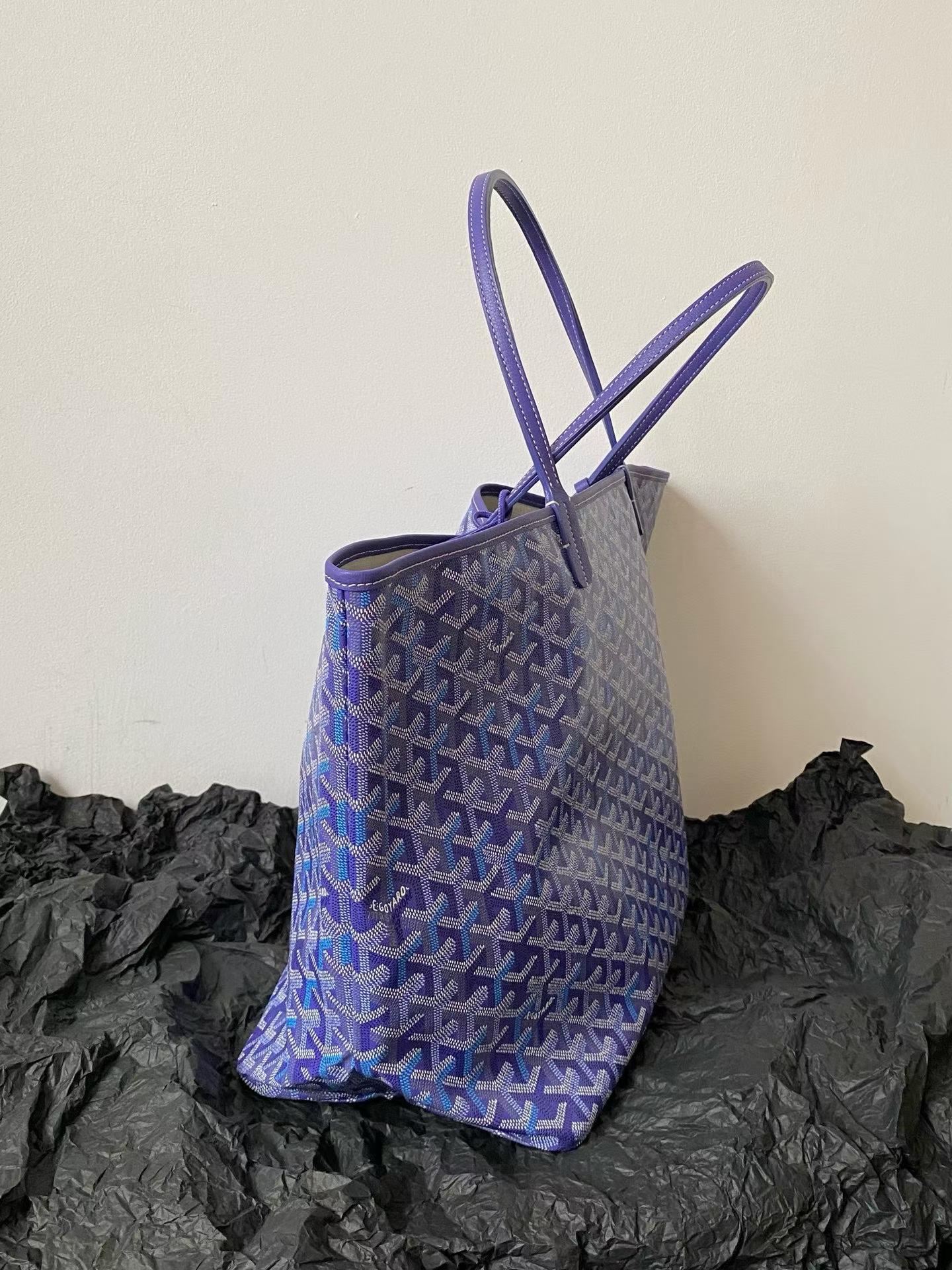Goyard Saint Louis Bag view 12