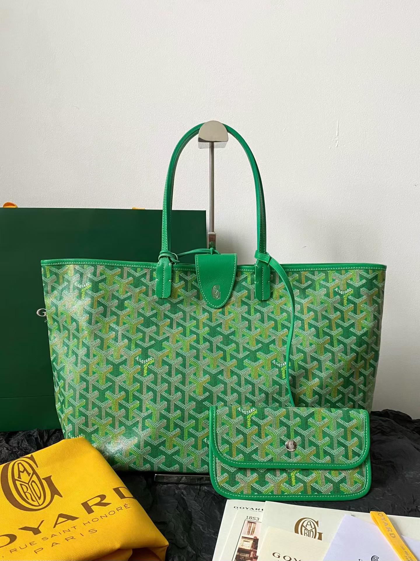 Goyard Saint Louis PM bag multicolored view 1