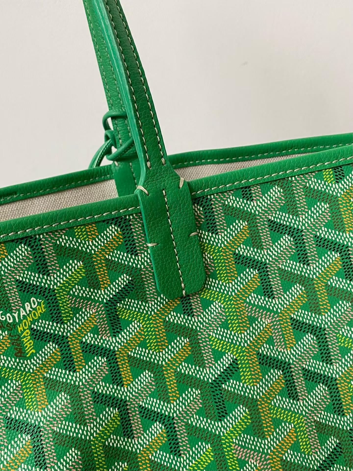 Goyard Saint Louis PM bag multicolored view 2