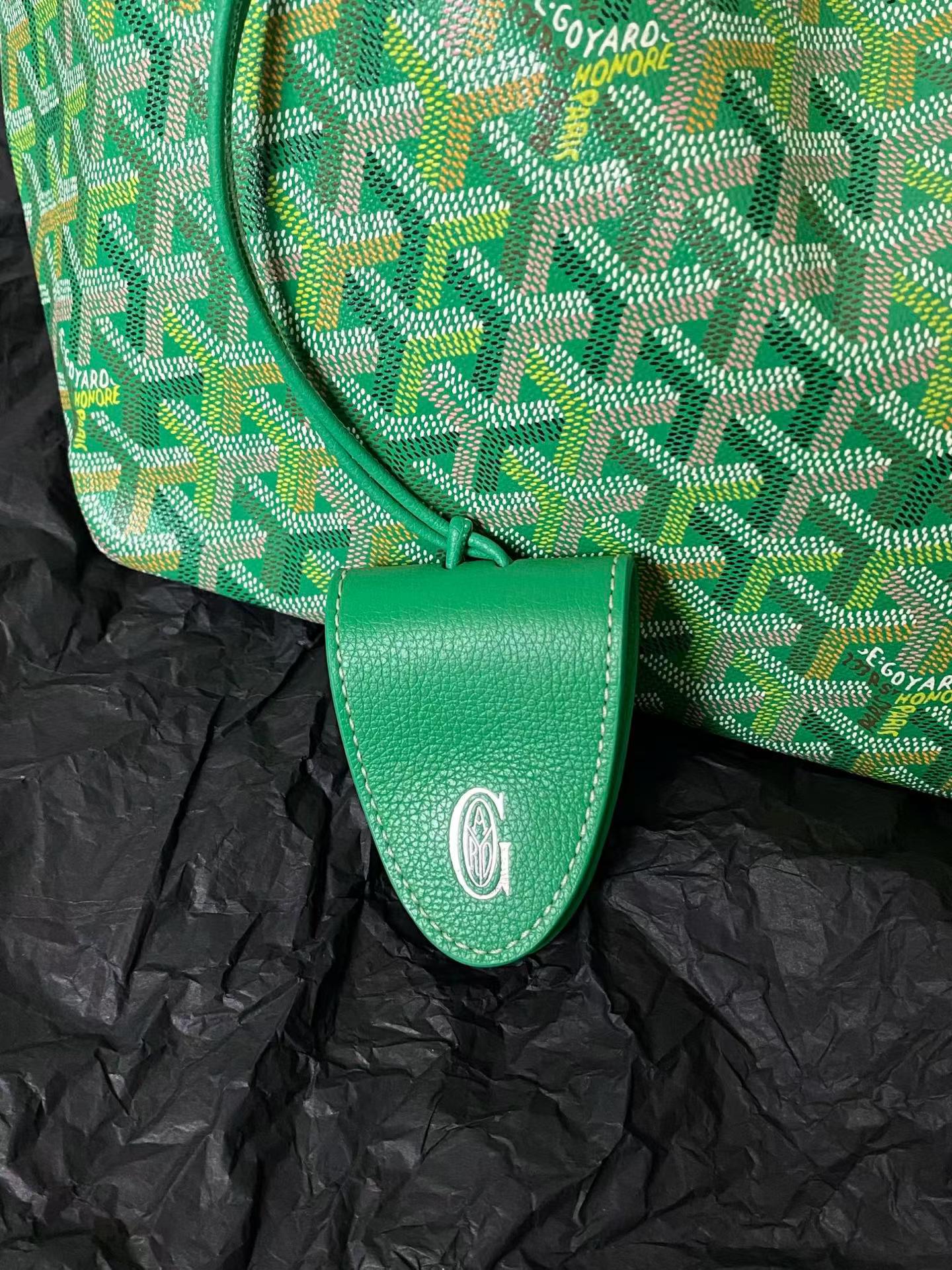 Goyard Saint Louis PM bag multicolored view 3