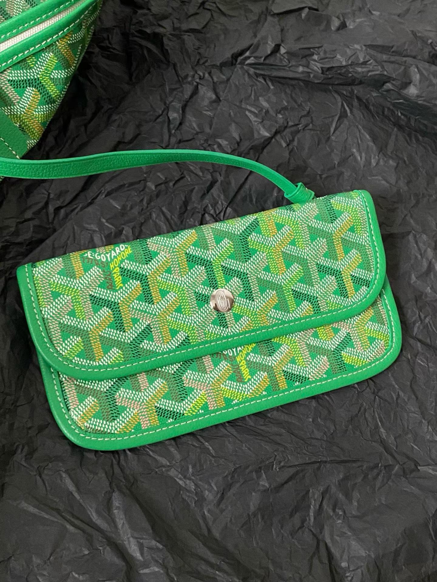 Goyard Saint Louis PM bag multicolored view 5