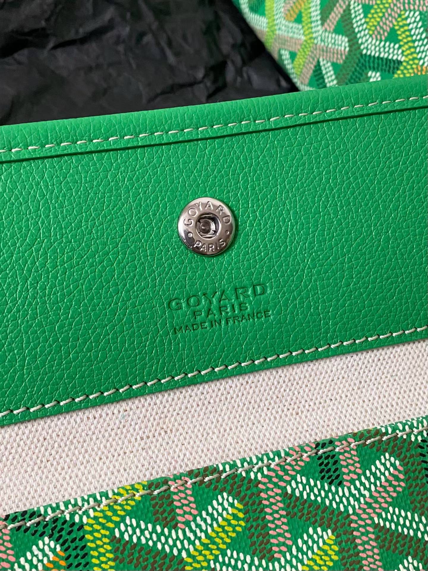 Goyard Saint Louis PM bag multicolored view 6