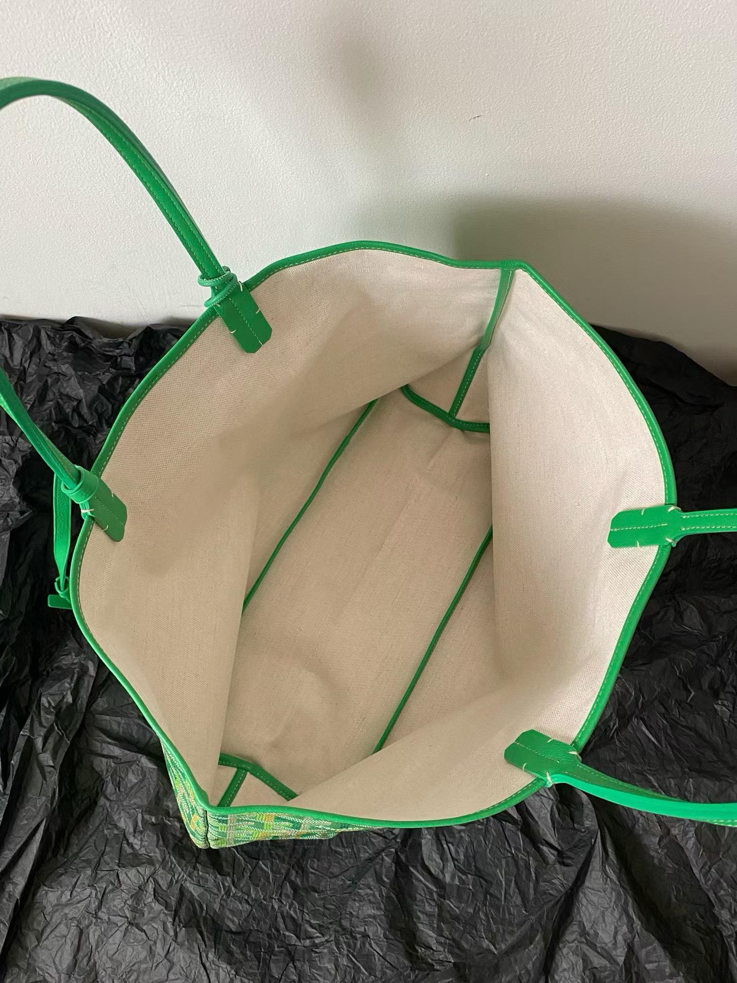 Goyard Saint Louis PM bag multicolored view 7