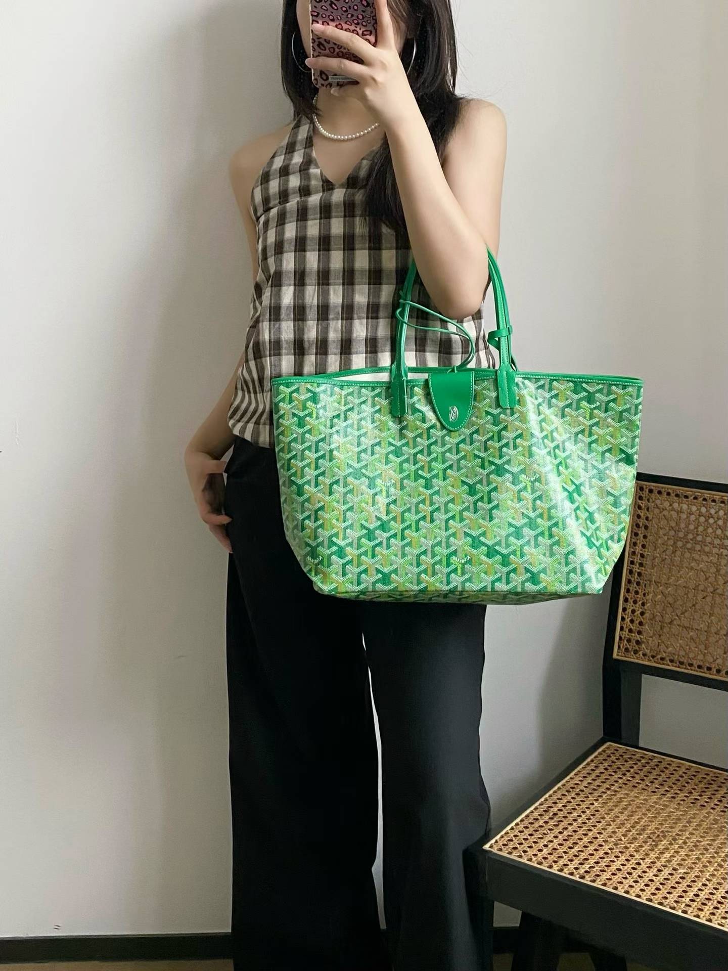 Goyard Saint Louis PM bag multicolored view 8