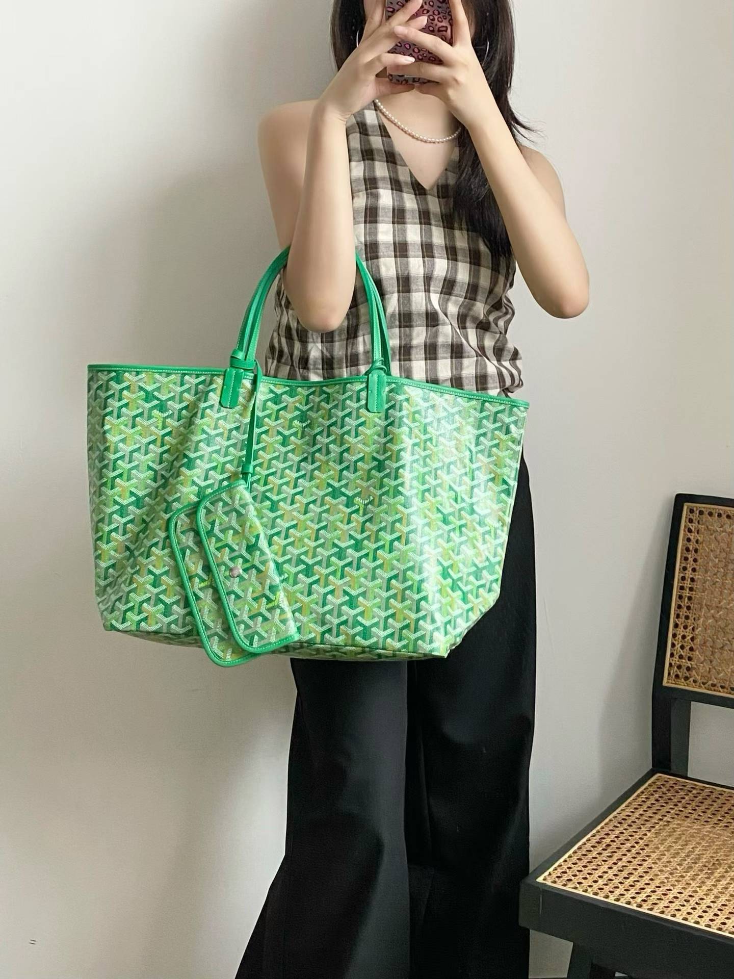 Goyard Saint Louis PM bag multicolored view 9