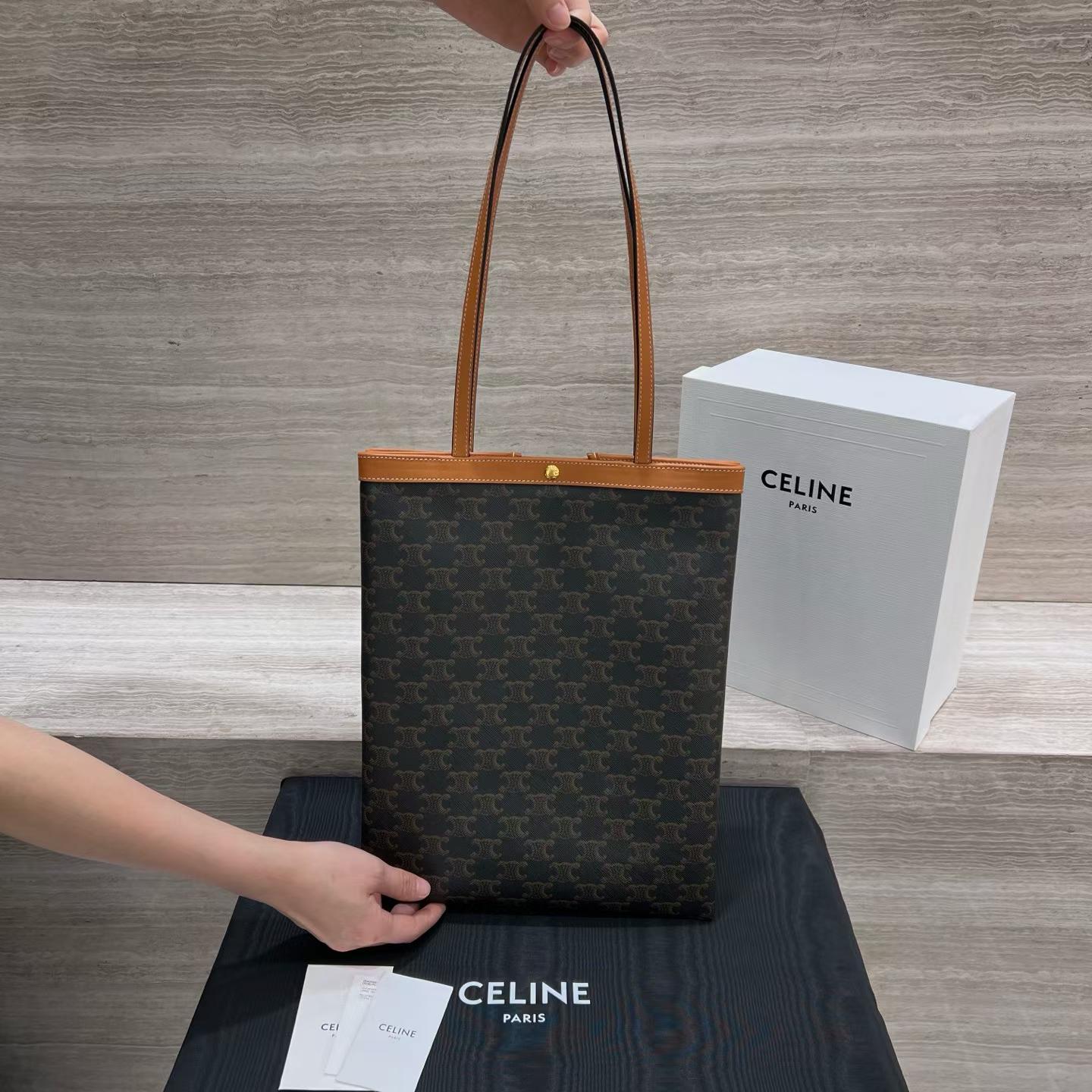 Celine Medium Flat Shopper In Triomphe Canvas view 1