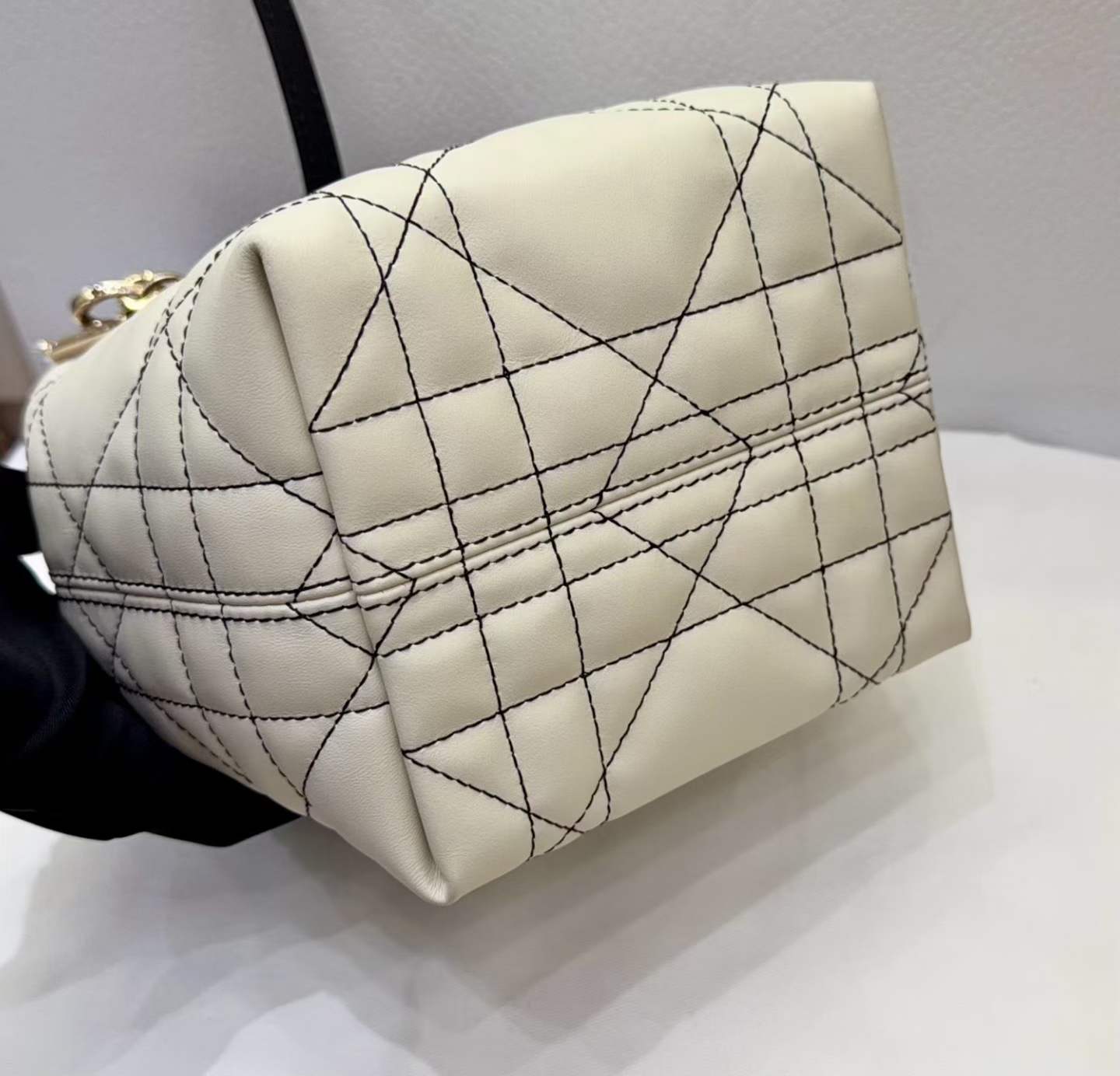 Dior Toujours Vertical Tote Bag view 4