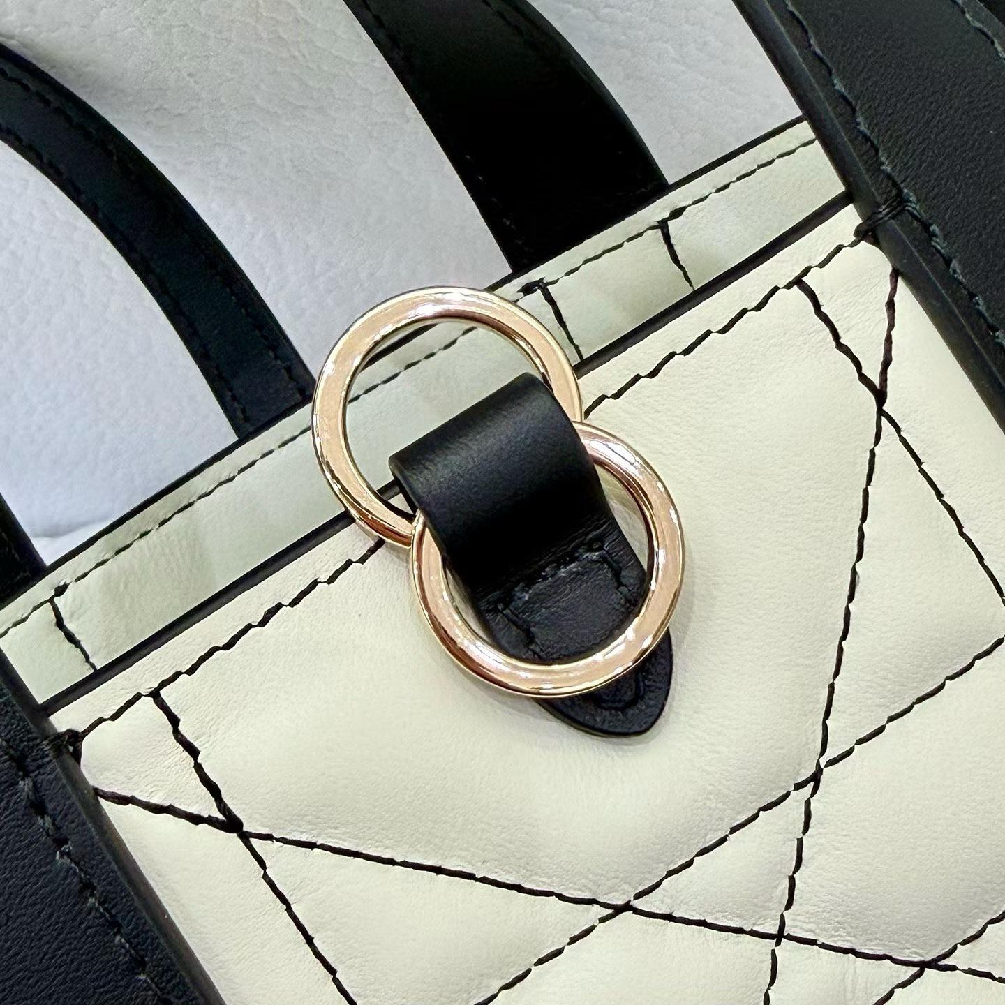 Dior Toujours Vertical Tote Bag view 5