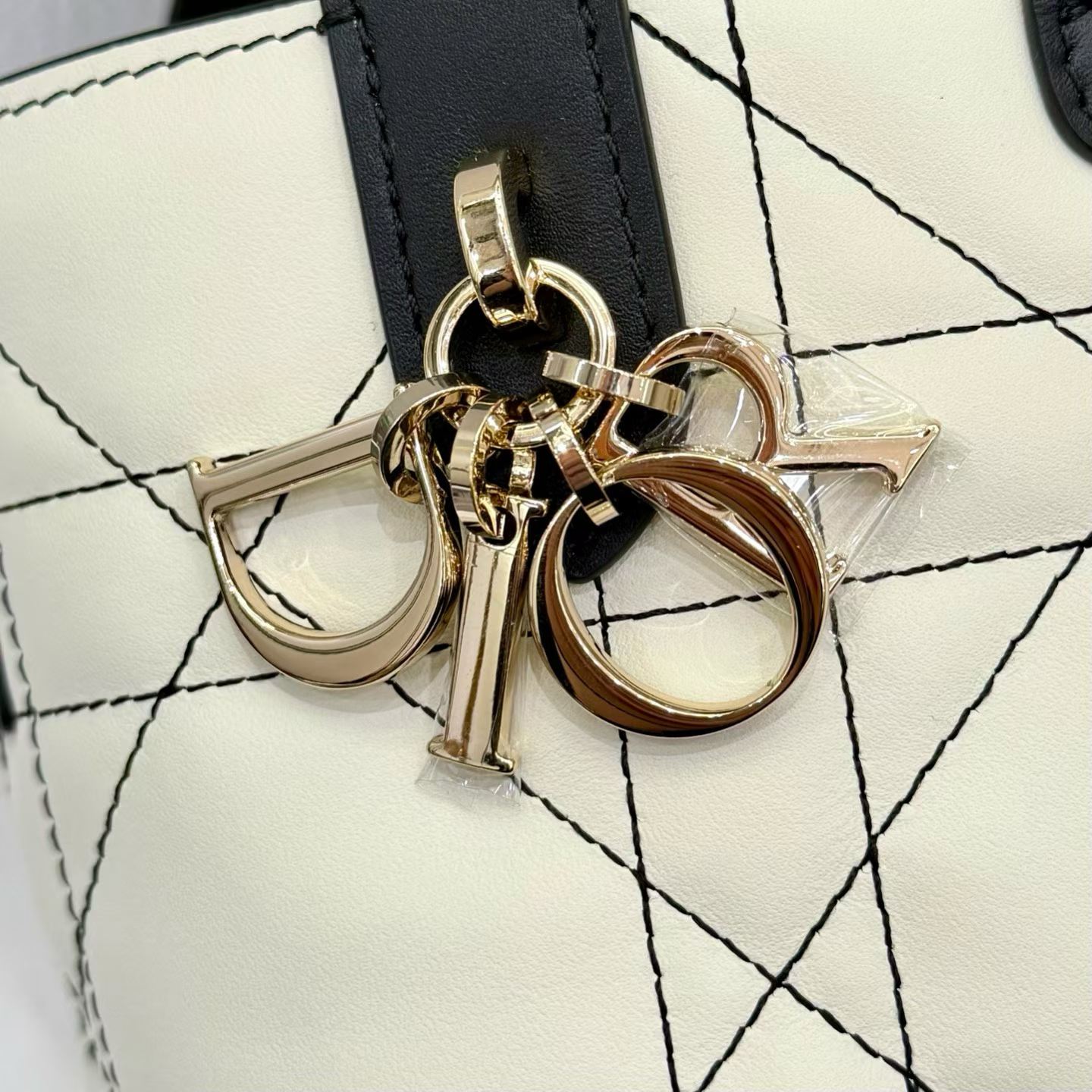 Dior Toujours Vertical Tote Bag view 9