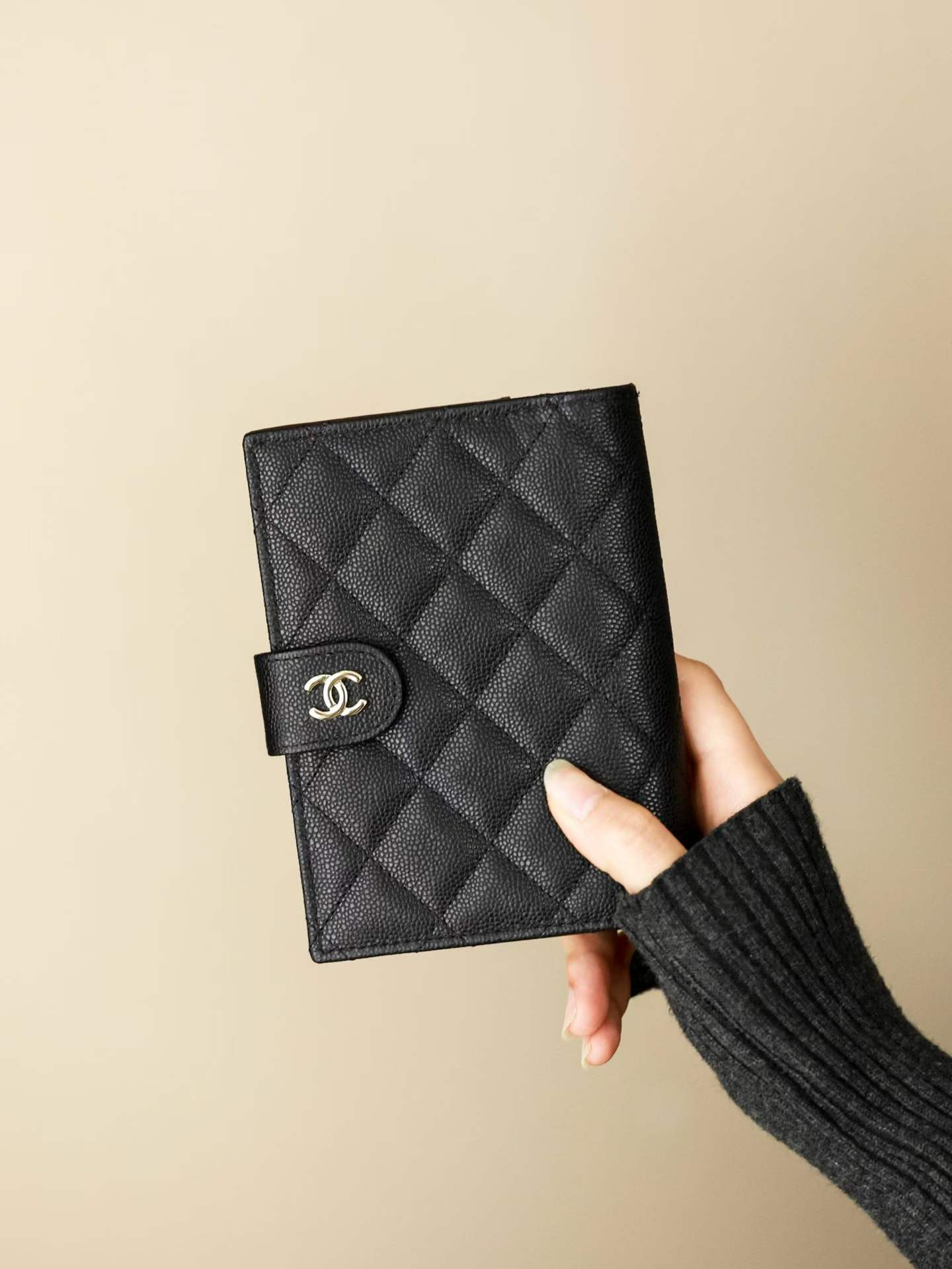 Chanel Passport folder view 1