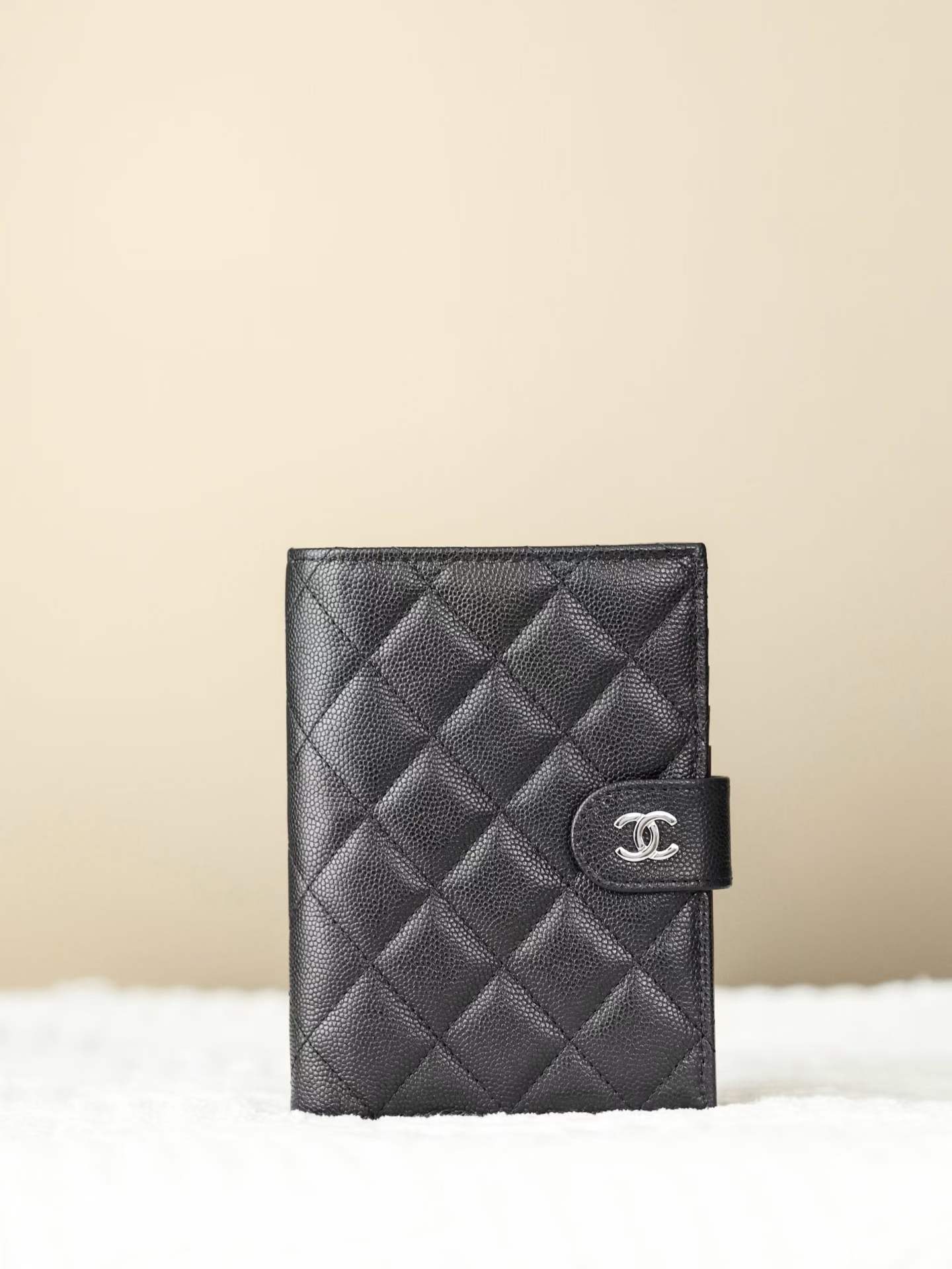 Chanel Passport folder view 4