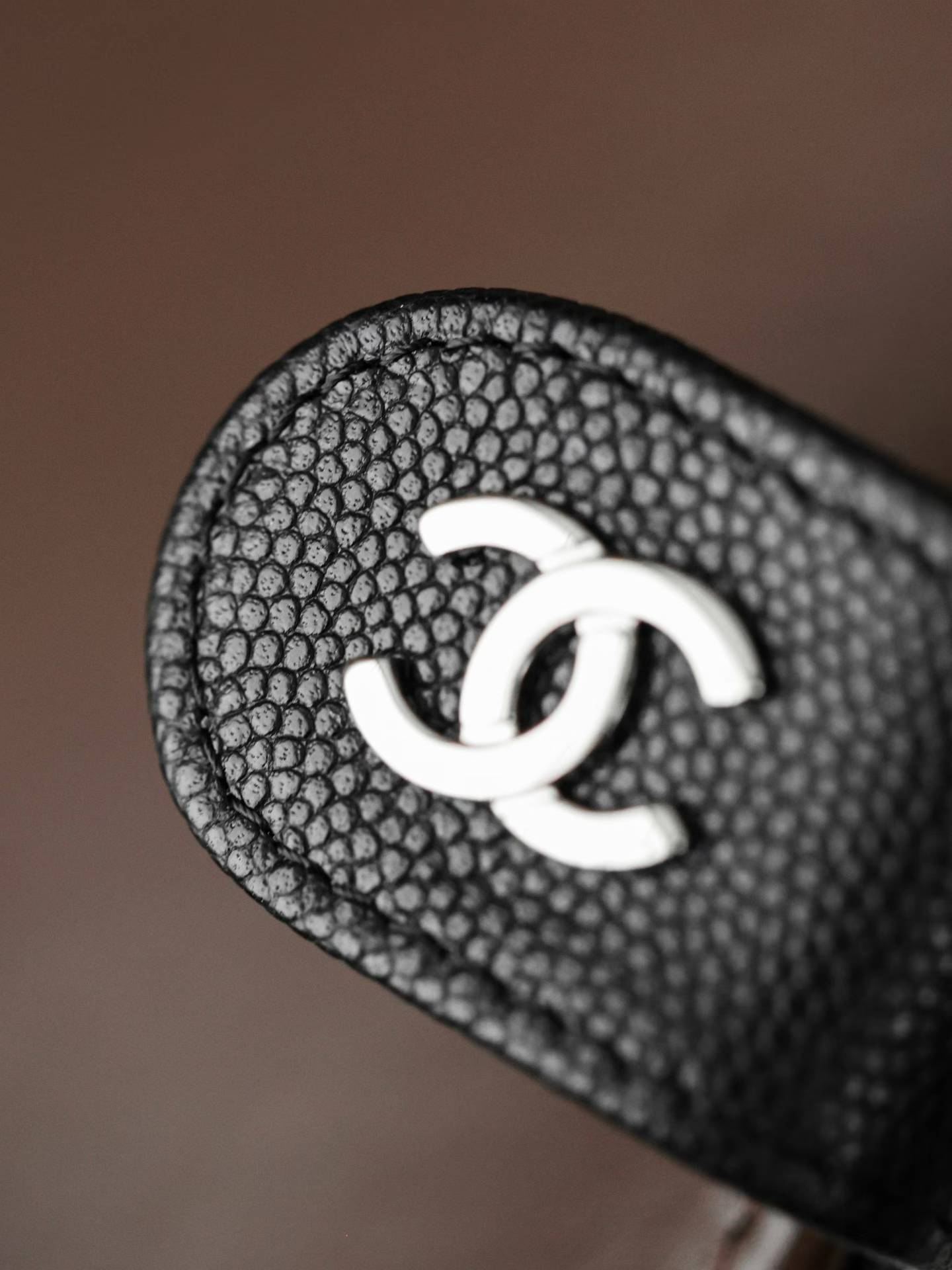 Chanel Passport folder view 5