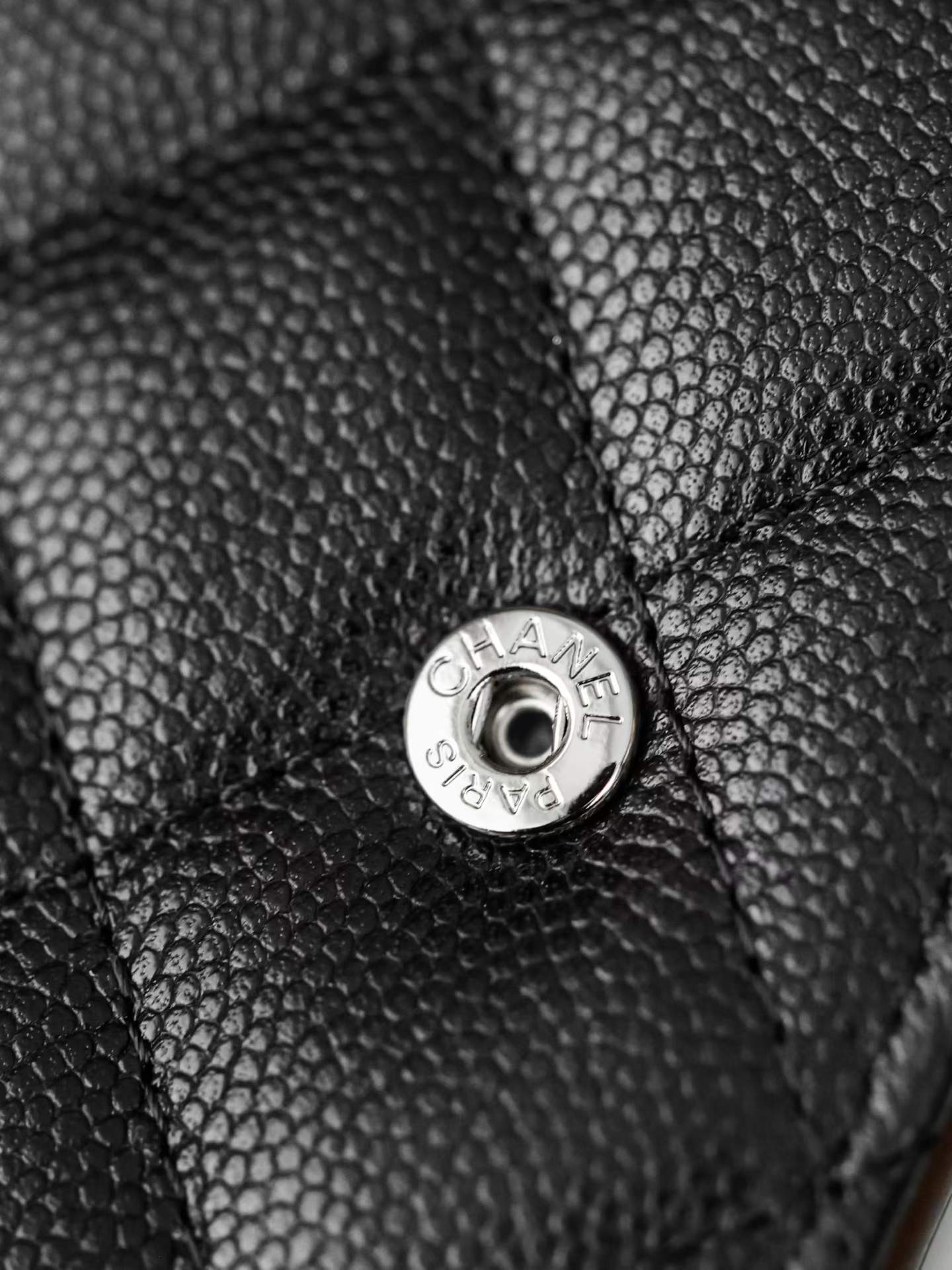 Chanel Passport folder view 6