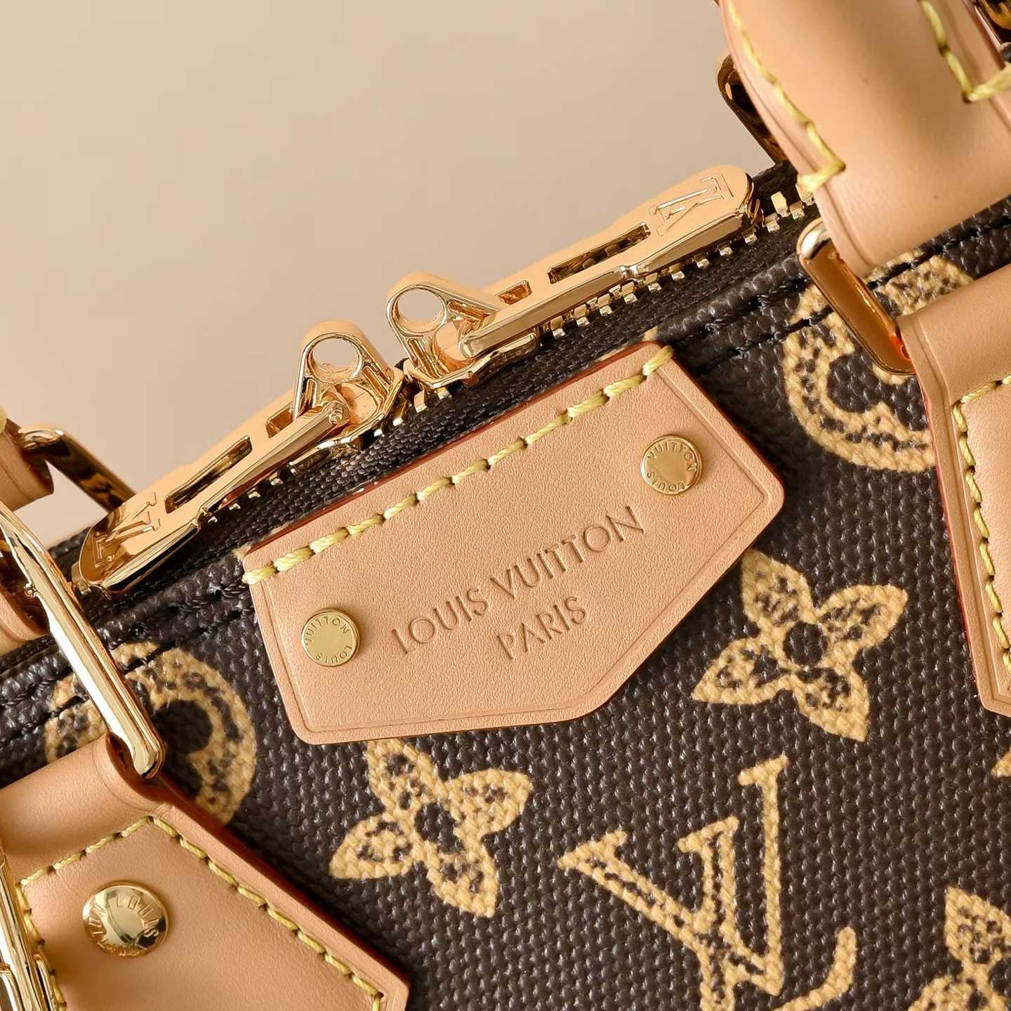 Louis Vuitton Alma Trunk BB Bag M28105 view 5