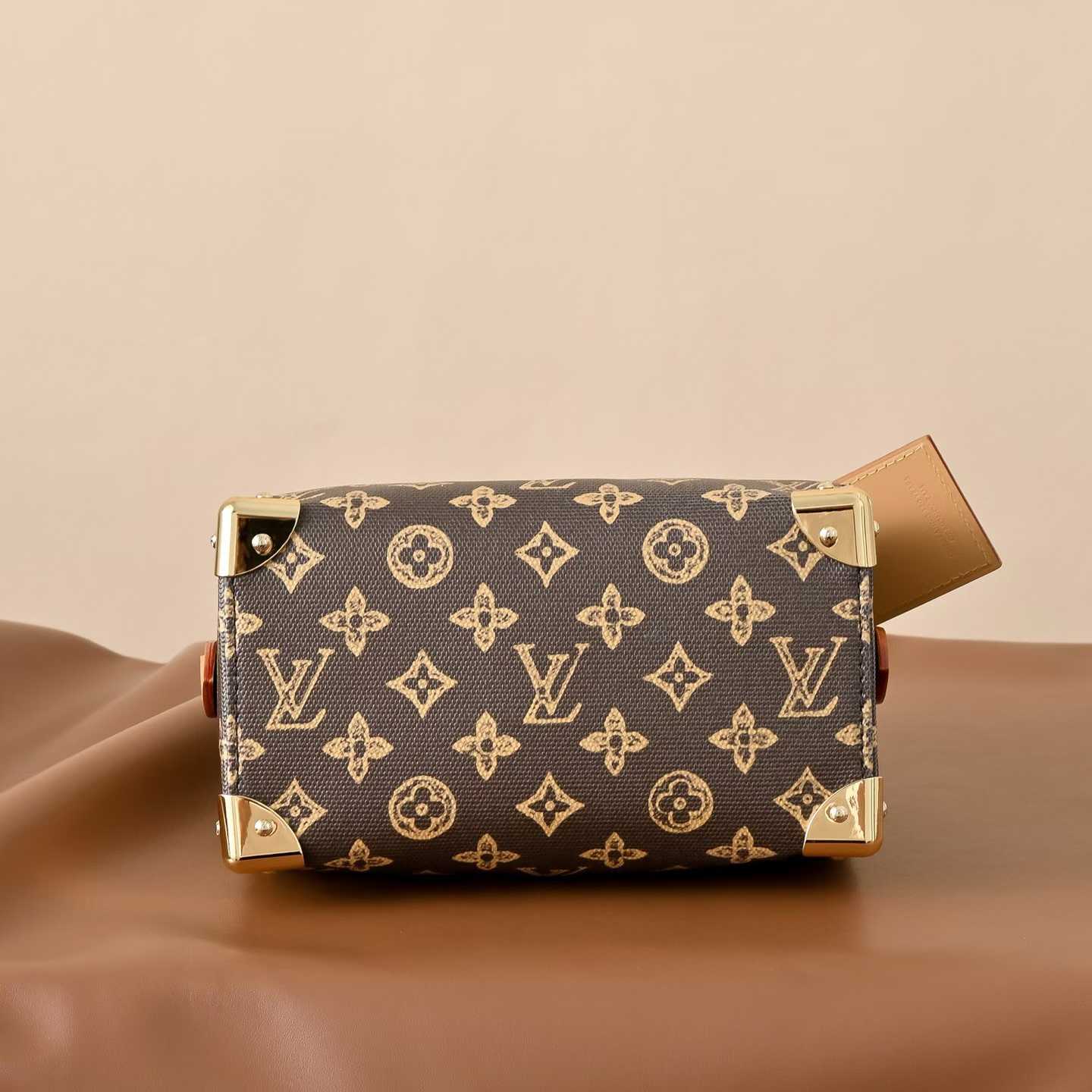 Louis Vuitton Speedy Trunk 20 Bag M28102 view 3