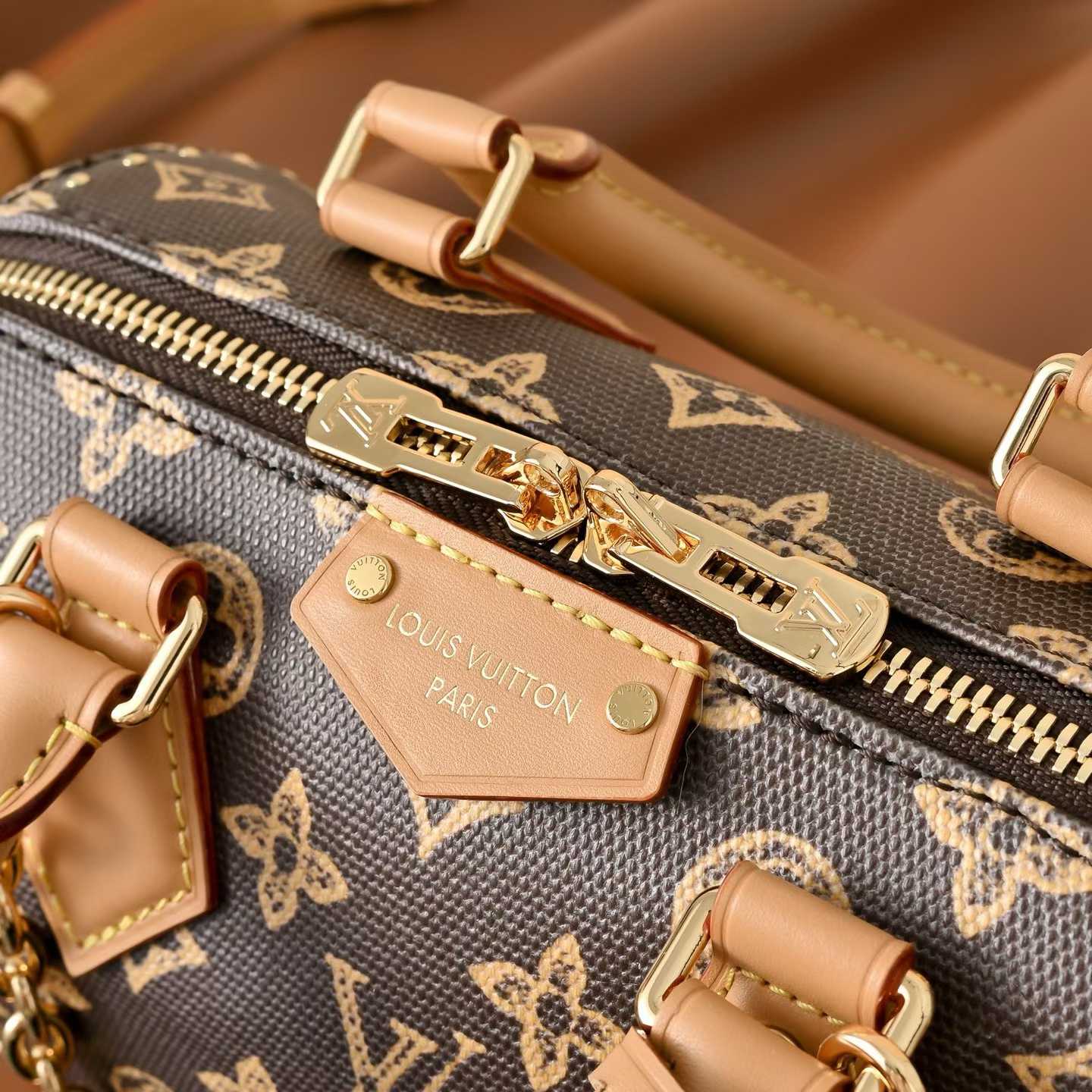 Louis Vuitton Speedy Trunk 20 Bag M28102 view 5