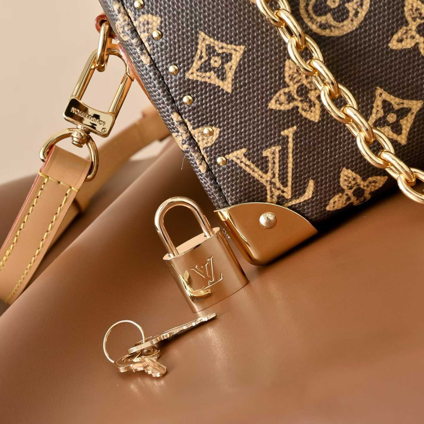 Louis Vuitton Speedy Trunk 20 Bag M28102 view 7