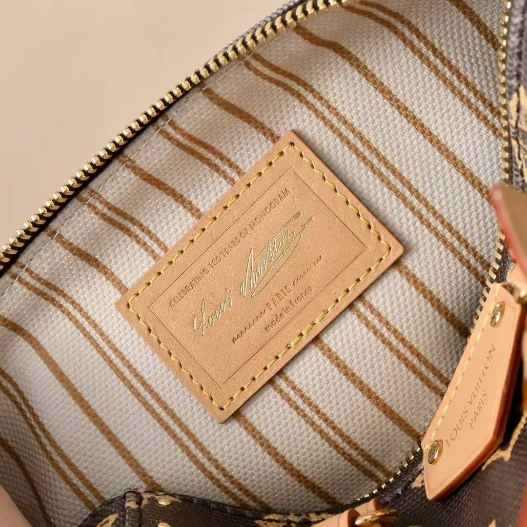 Louis Vuitton Speedy Trunk 20 Bag M28102 view 9