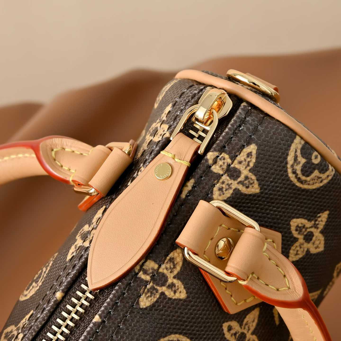 Louis Vuitton Speedy Trunk 16 Bag M27610 view 6