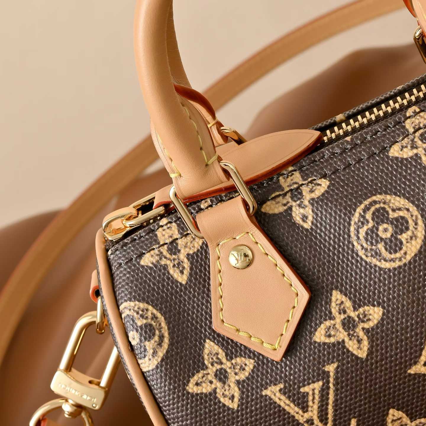 Louis Vuitton Speedy Trunk 16 Bag M27610 view 7
