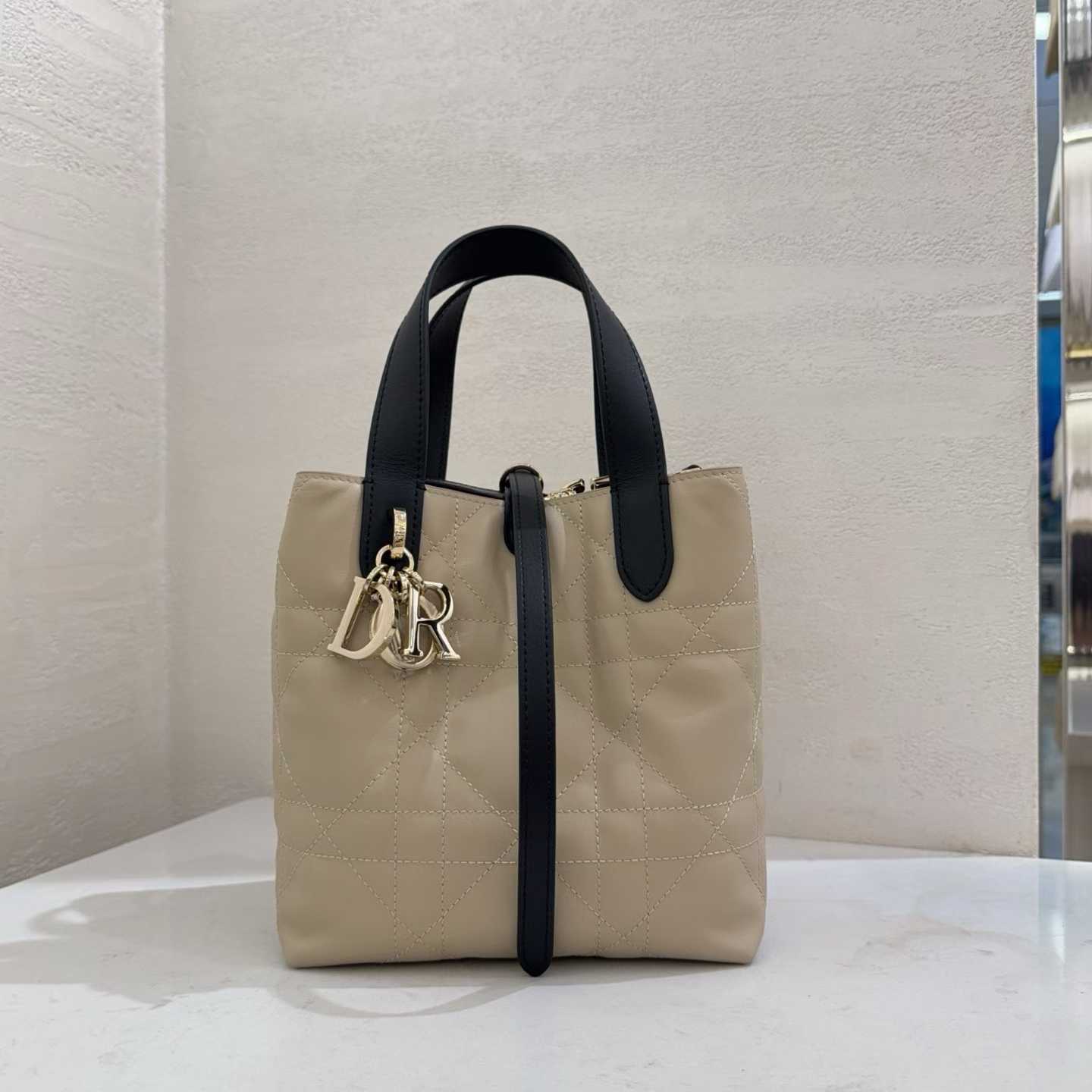 Dior Small Toujours Vertical Tote Bag view 1