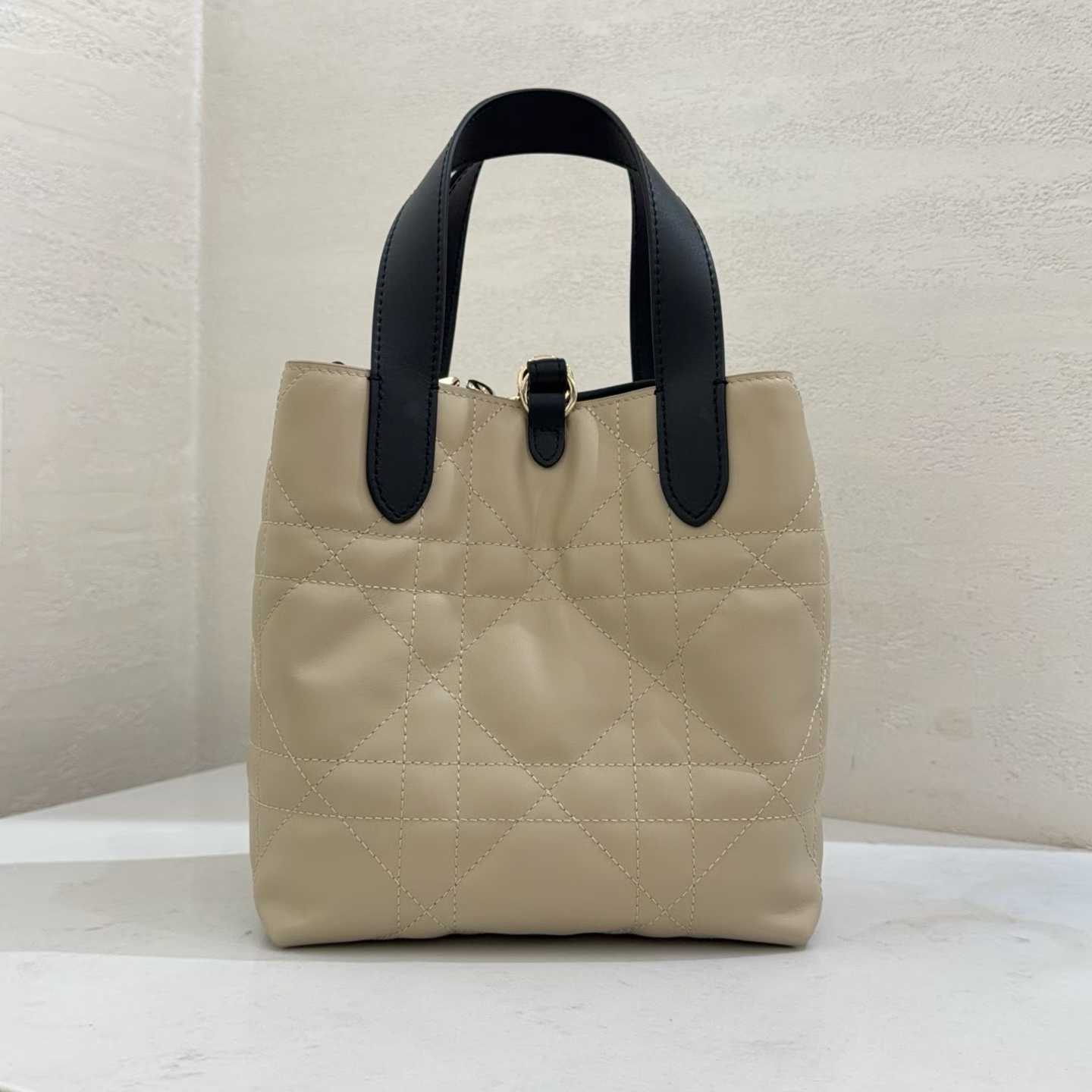 Dior Small Toujours Vertical Tote Bag view 2
