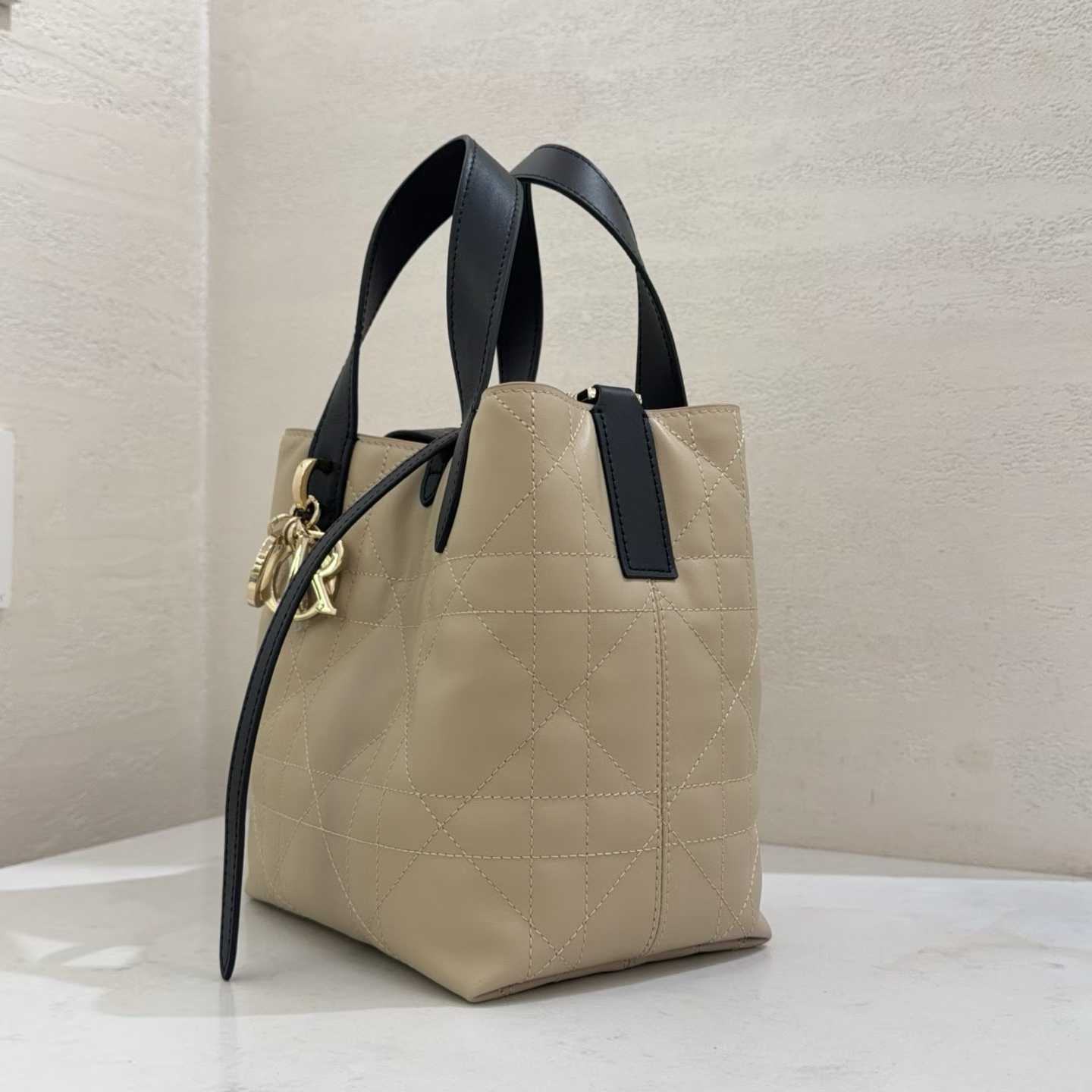 Dior Small Toujours Vertical Tote Bag view 3