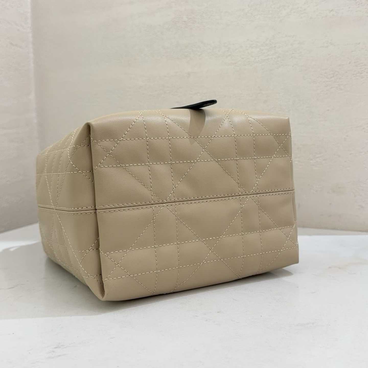 Dior Small Toujours Vertical Tote Bag view 4