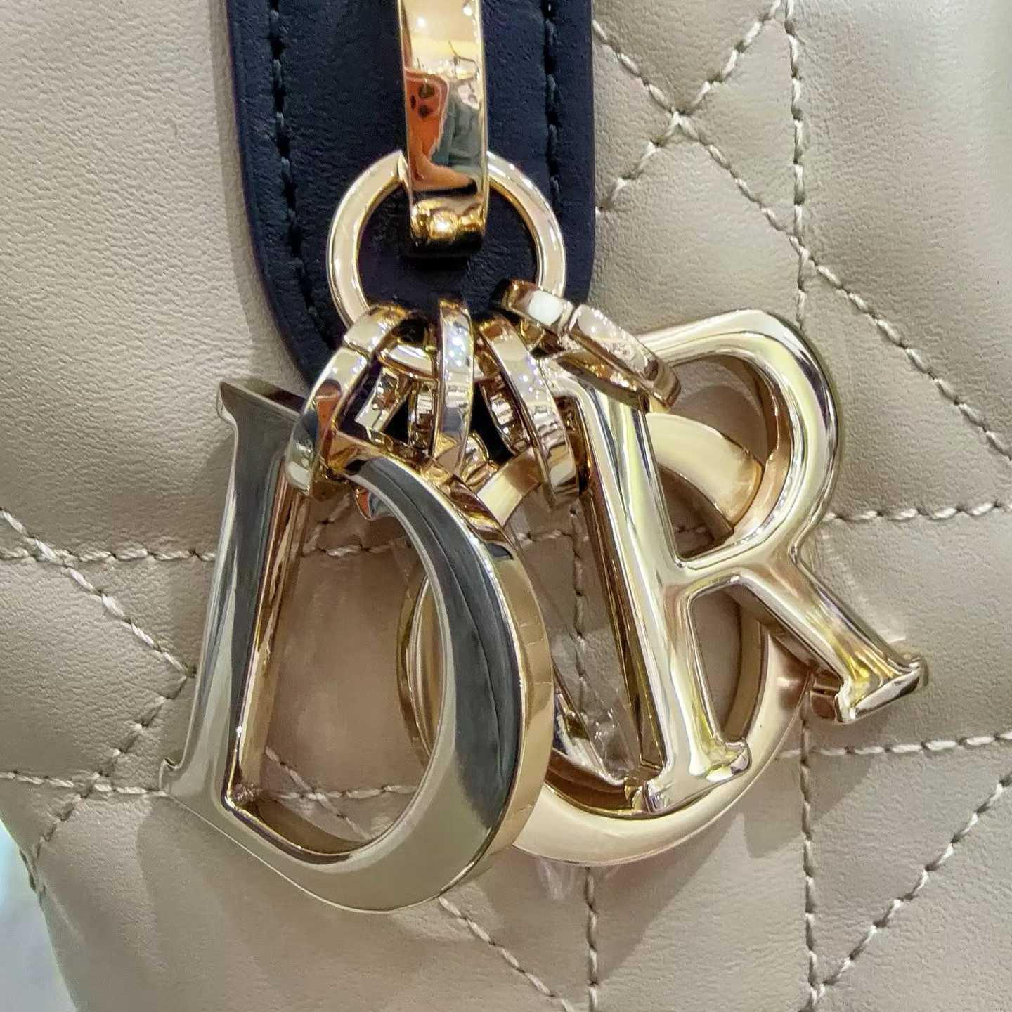 Dior Small Toujours Vertical Tote Bag view 6