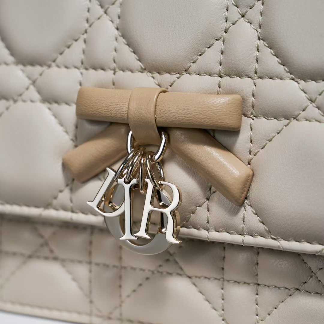 Dior My Mini Bag view 8