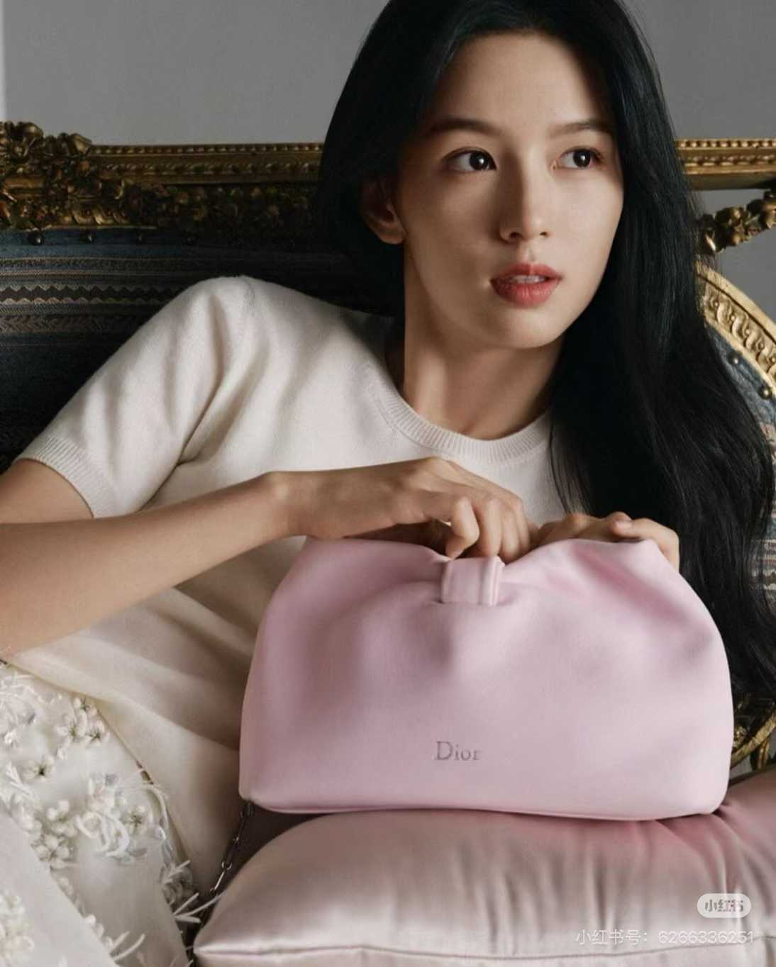 Dior Small Bow Bag view 2