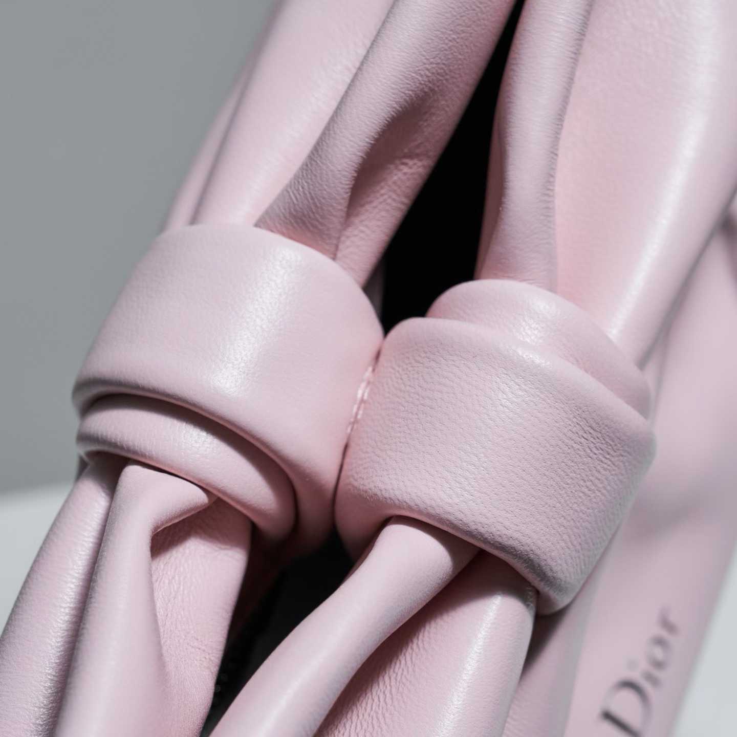 Dior Small Bow Bag view 6