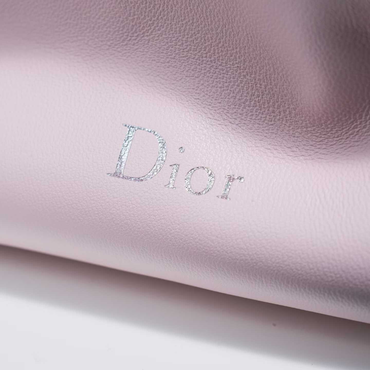 Dior Small Bow Bag view 9