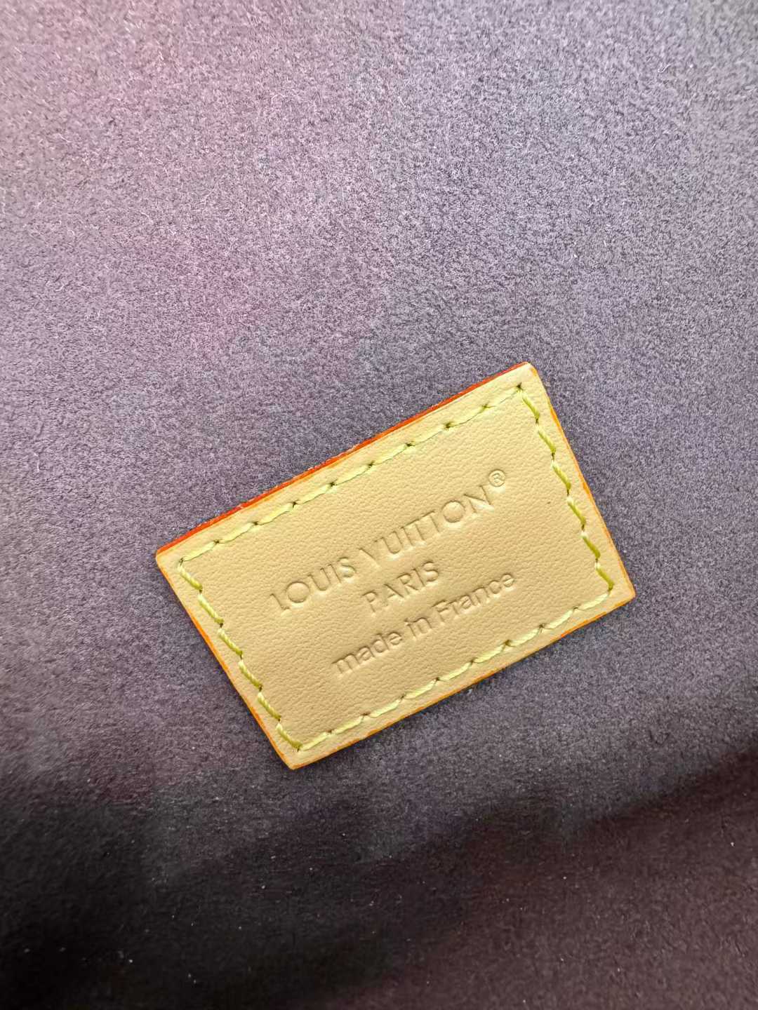 Louis Vuitton M13566 Pochette Camille Bag view 5