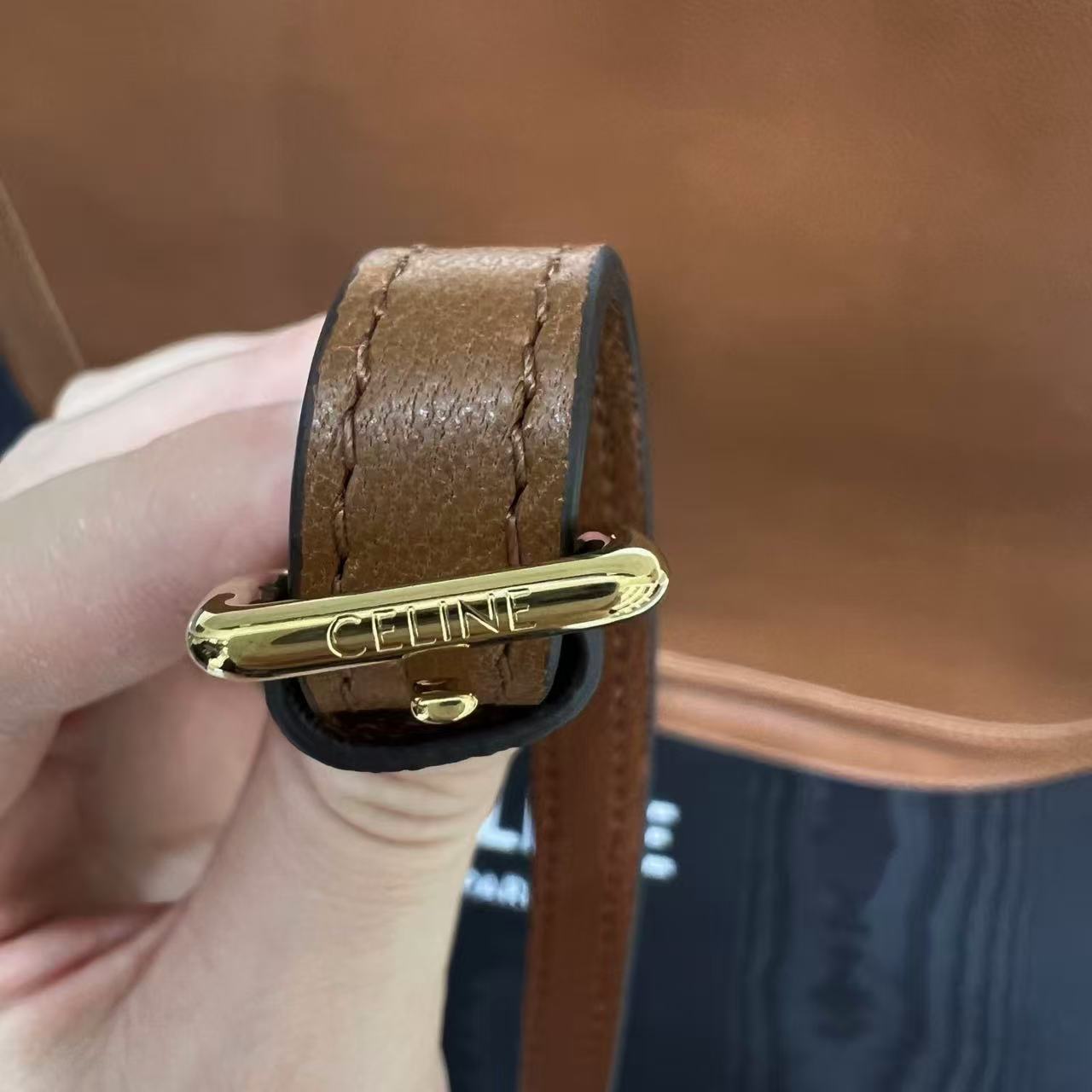Celine Soft Triomphe Besace In Supple Shiny Lambskin view 13