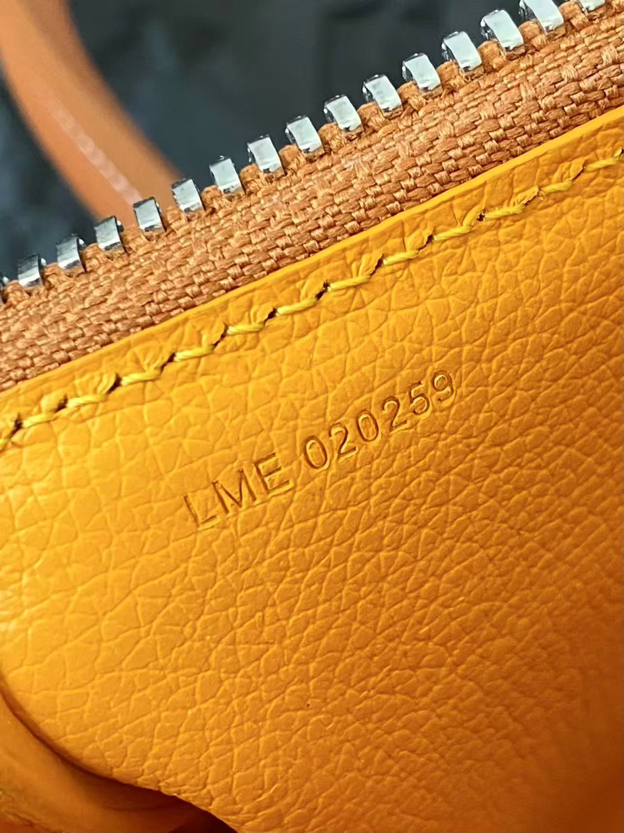 Goyard Bonbonnière bag view 9