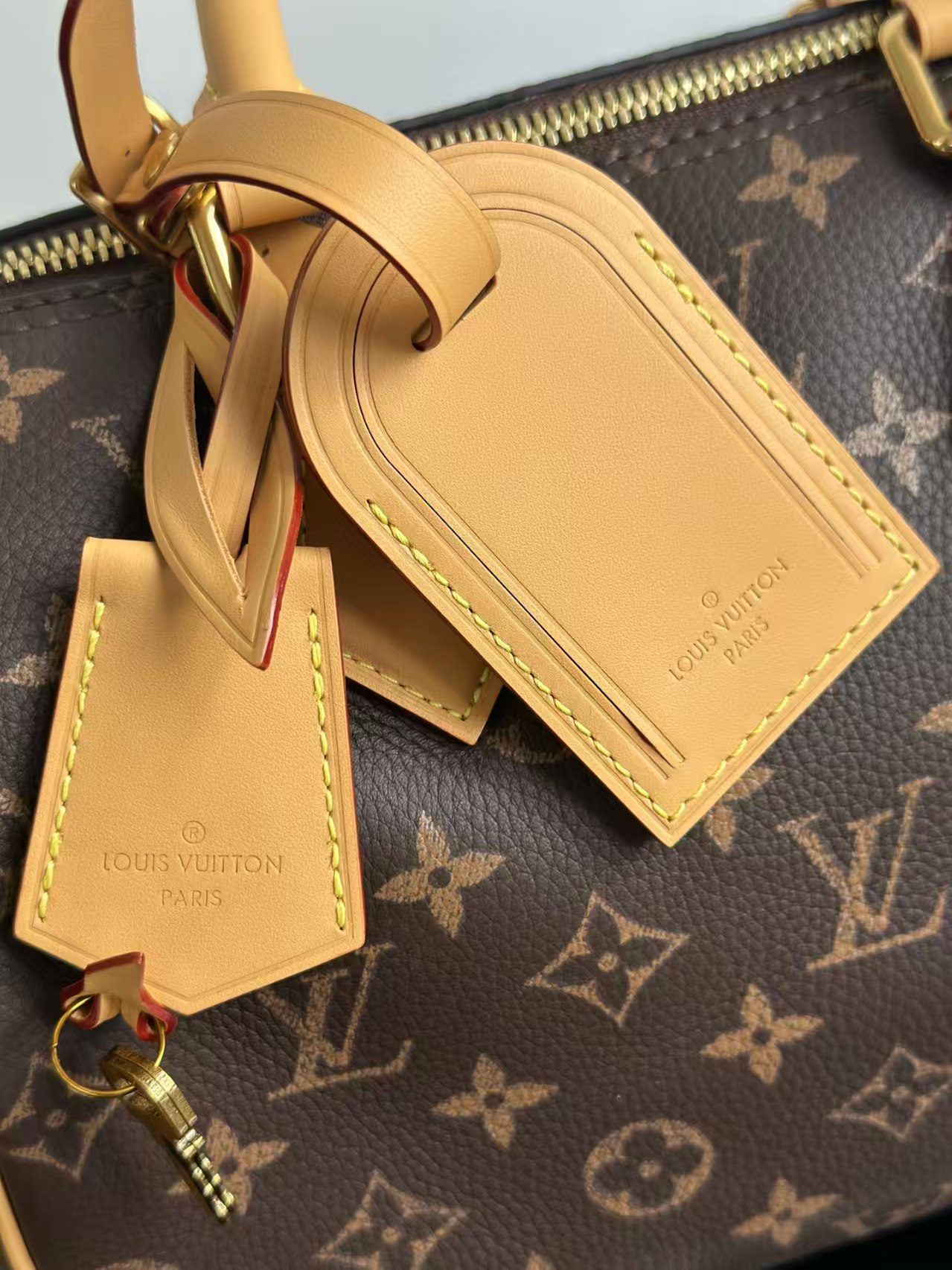 Louis Vuitton M24443 Speedy P9 Bandouliere25 view 5