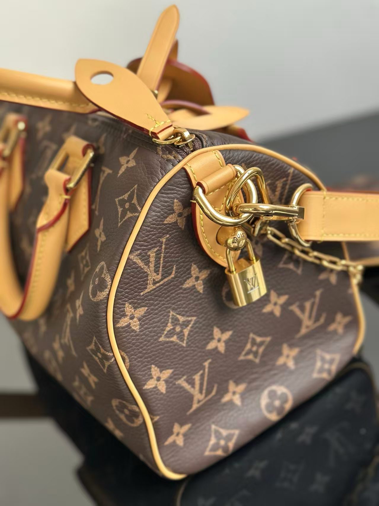 Louis Vuitton M24443 Speedy P9 Bandouliere25 view 6