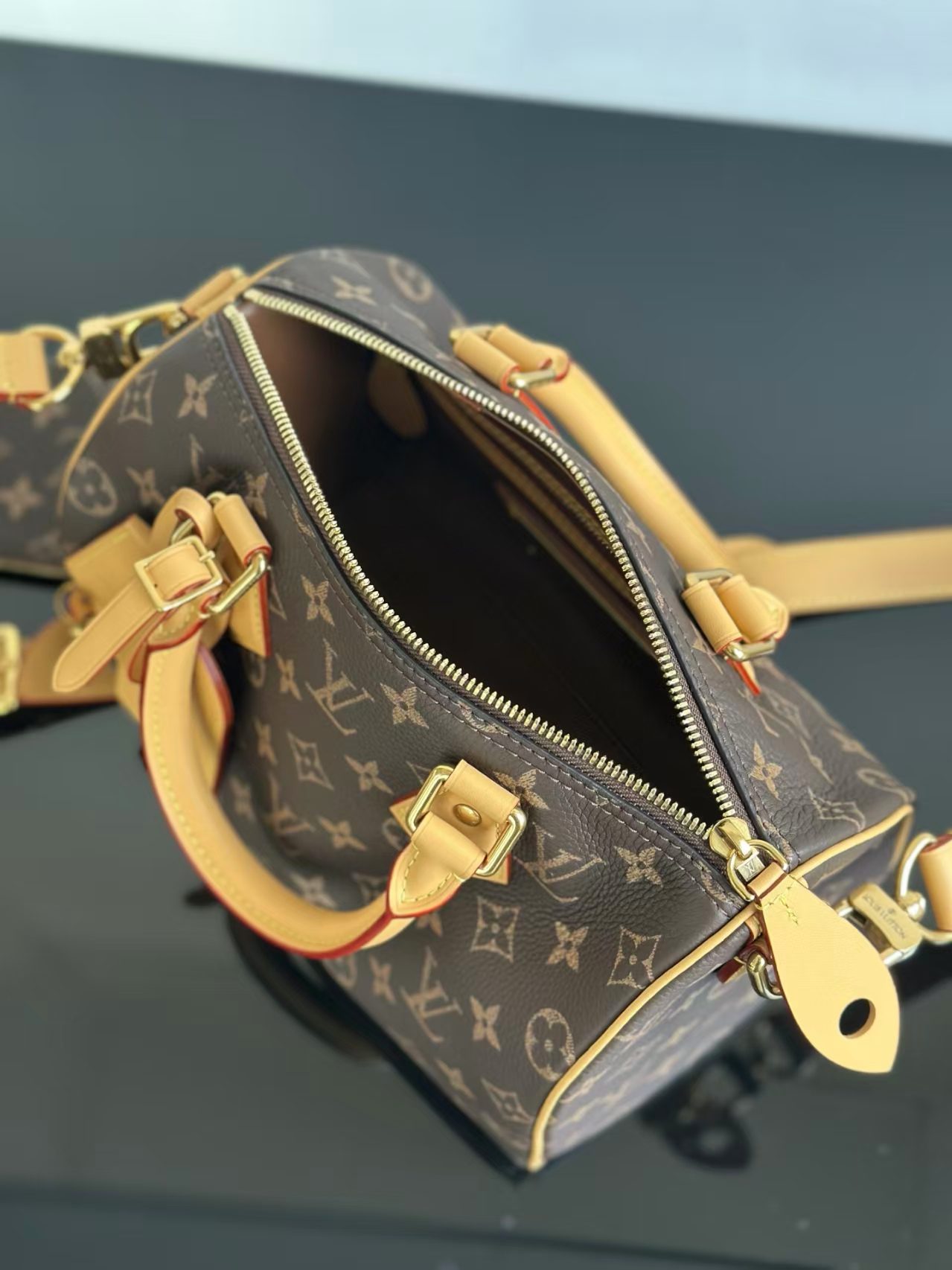 Louis Vuitton M24443 Speedy P9 Bandouliere25 view 7