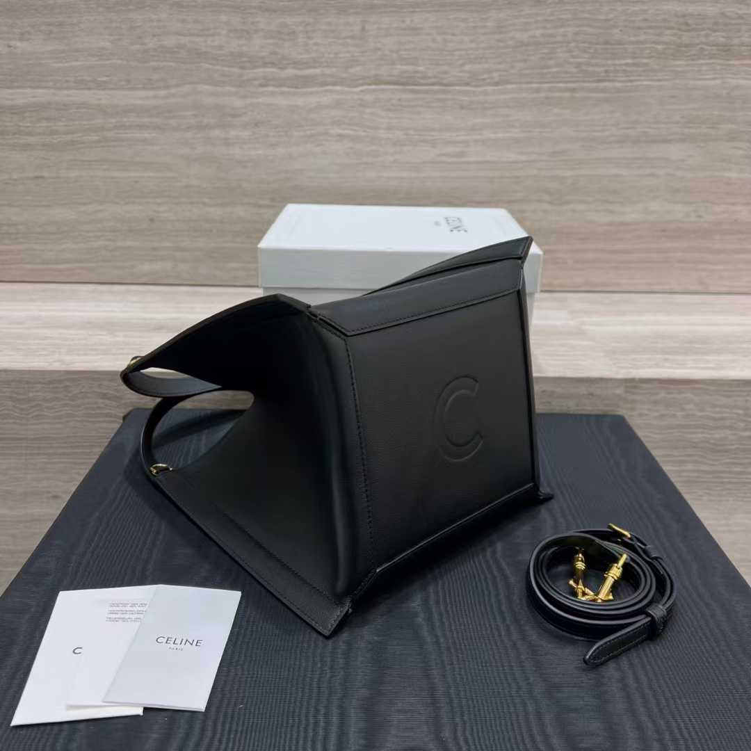 Celine CUBE BAG Canvas and NATURAL Calfskin view 4
