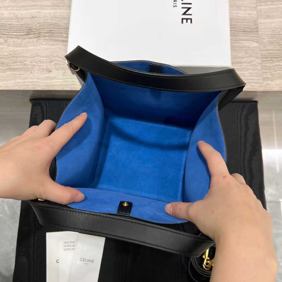 Celine CUBE BAG Canvas and NATURAL Calfskin view 5