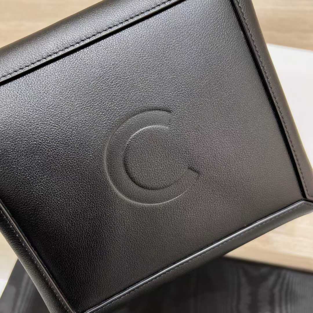 Celine CUBE BAG Canvas and NATURAL Calfskin view 8