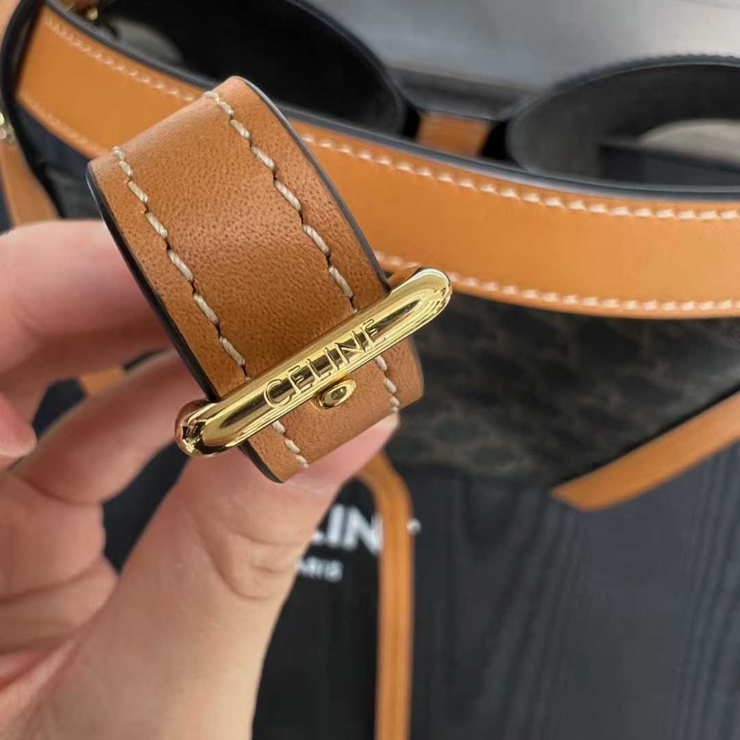 Celine SMALL CUBE BAG IN Triomphe Canvas and NATURAL Calfskin view 6