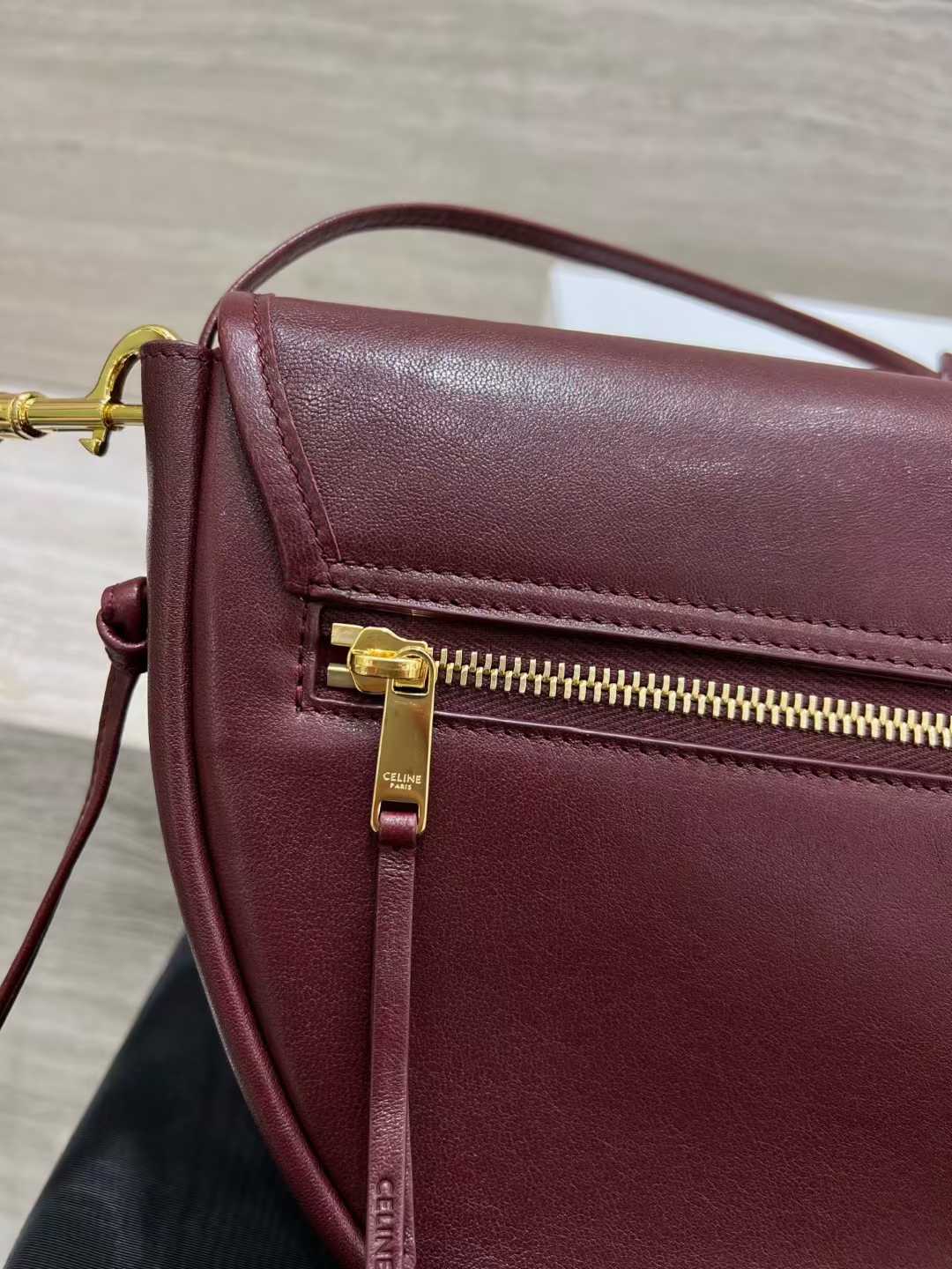 Celine Soft Triomphe Besace In Supple Shiny Lambskin view 5